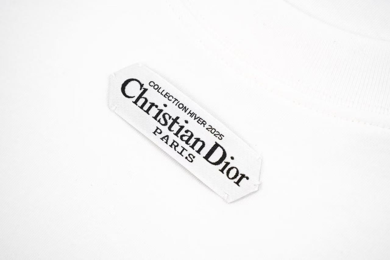 Dior Long-sleeved T-shirt Retail(ZP)VS Batch(大货)