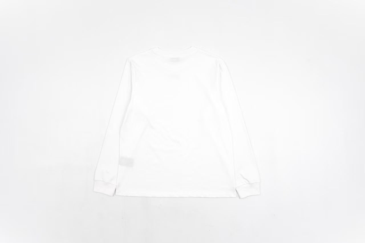 Dior Long-sleeved T-shirt Retail(ZP)VS Batch(大货)