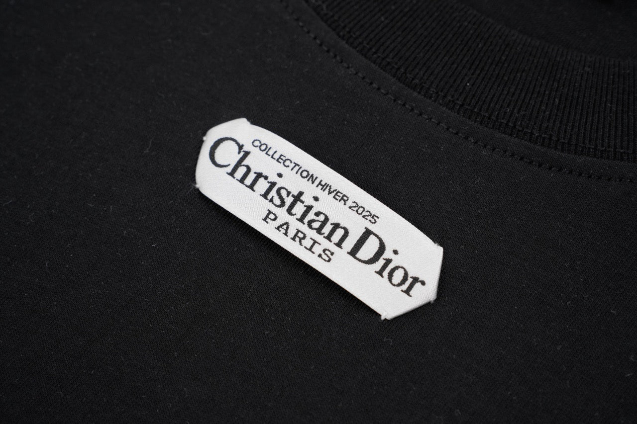 Dior Long-sleeved T-shirt Retail(ZP)VS Batch(大货)
