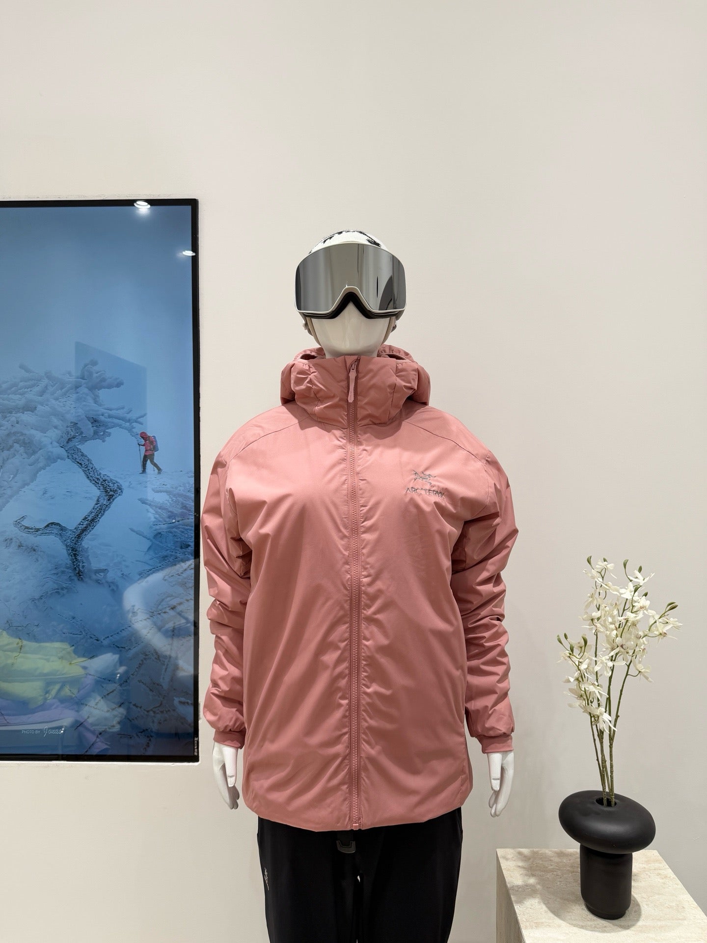 Arc'teryx Atom Hoody