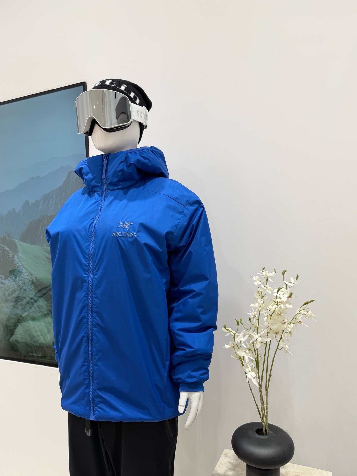 Arc'teryx Atom Hoody