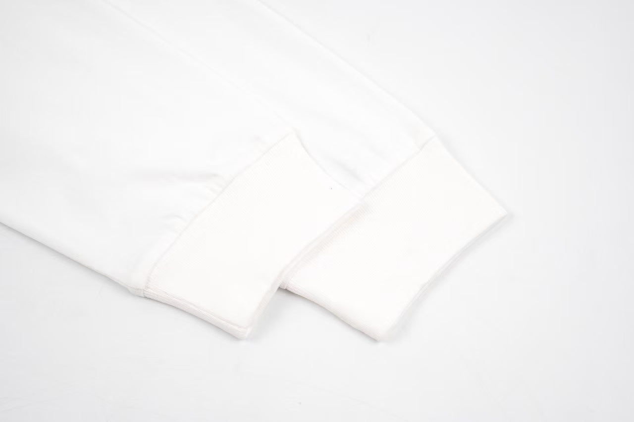 Dior Long-sleeved T-shirt Retail(ZP)VS Batch(大货)