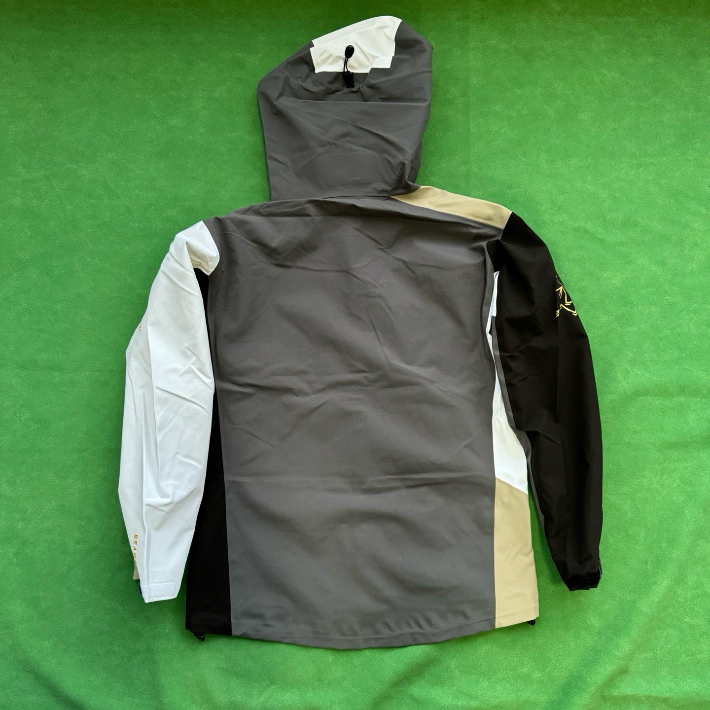 Arc'teryx × BEAMS BETA JACKET