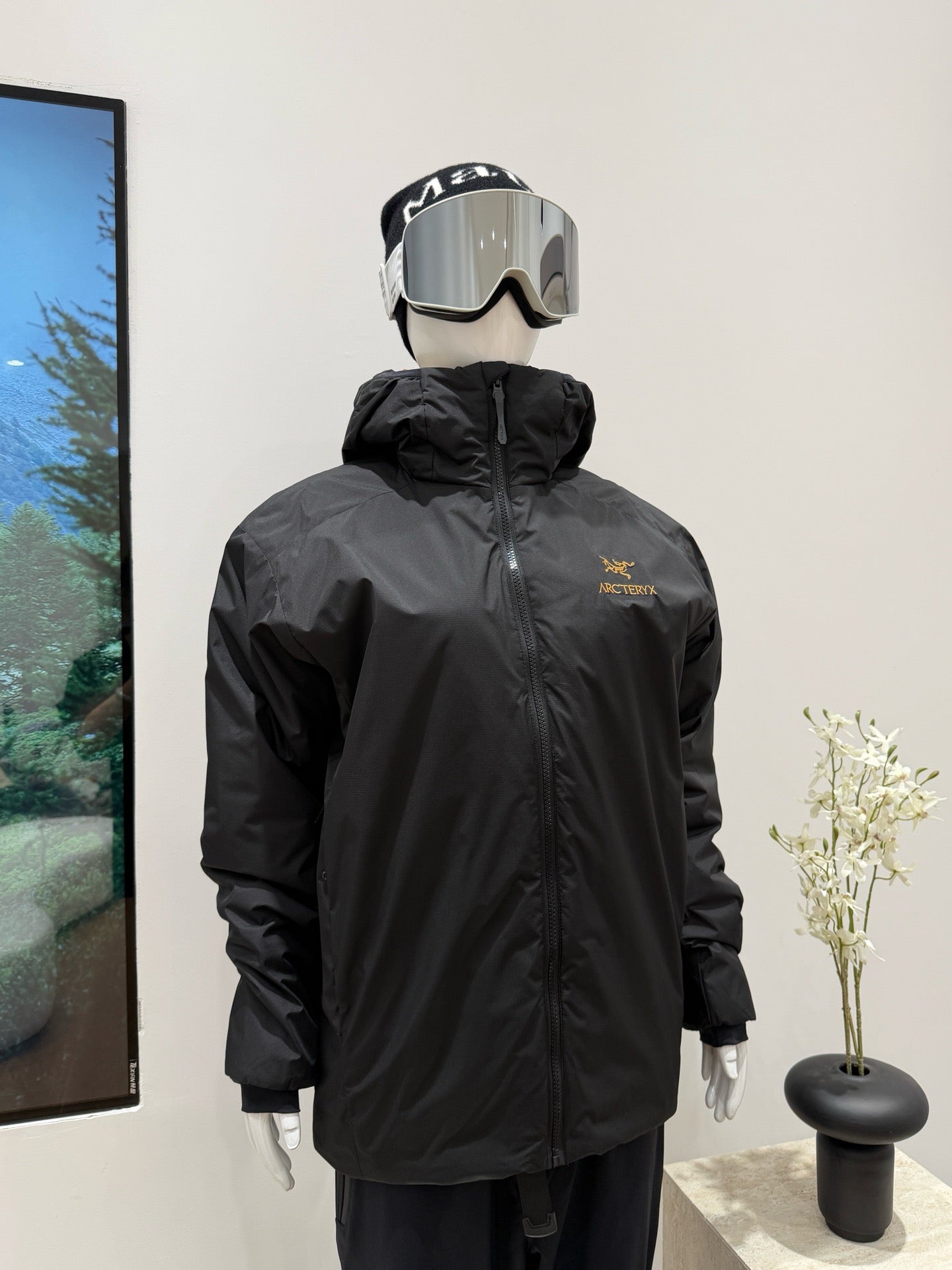 Arc'teryx Atom Hoody