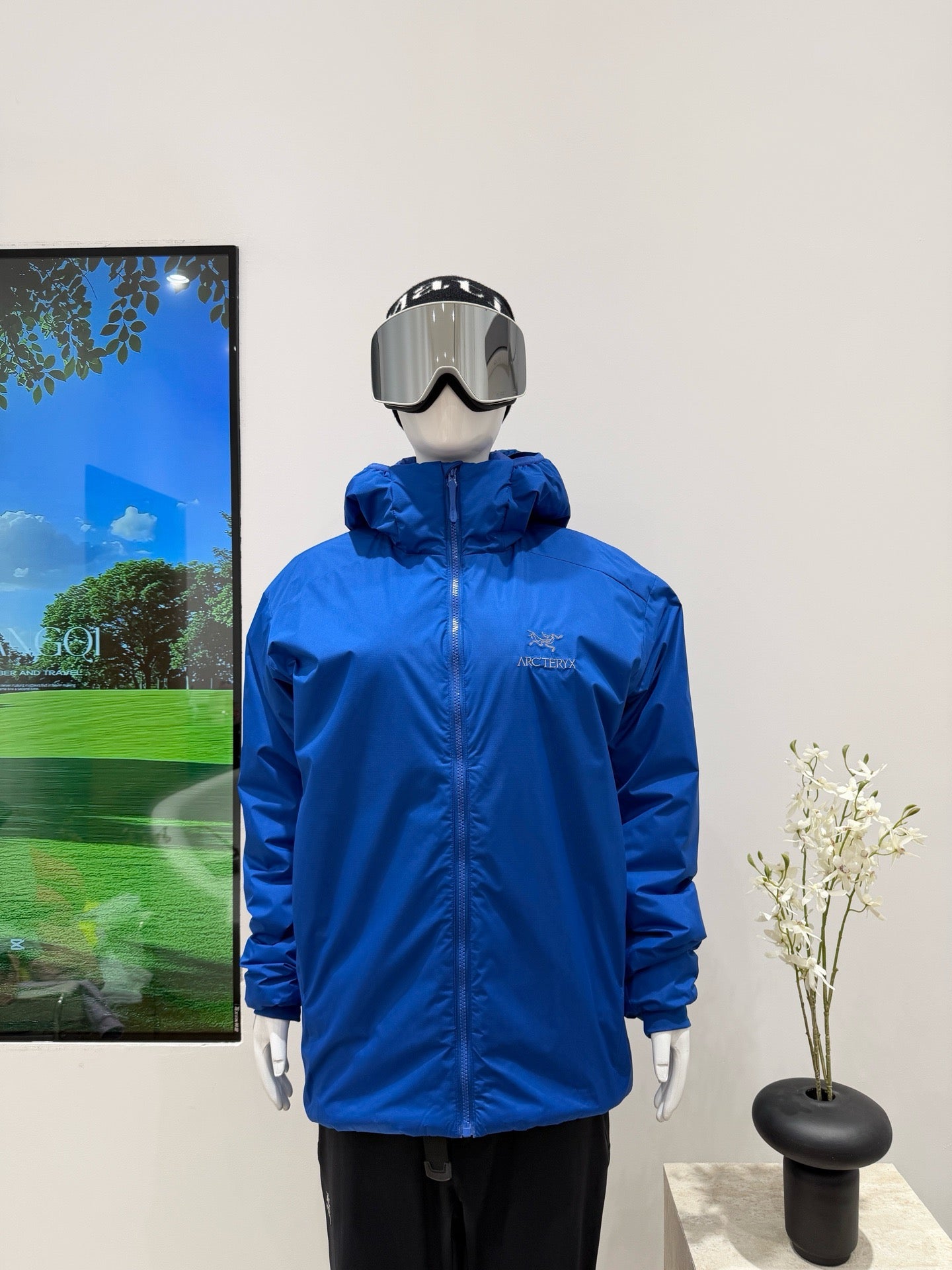 Arc'teryx Atom Hoody