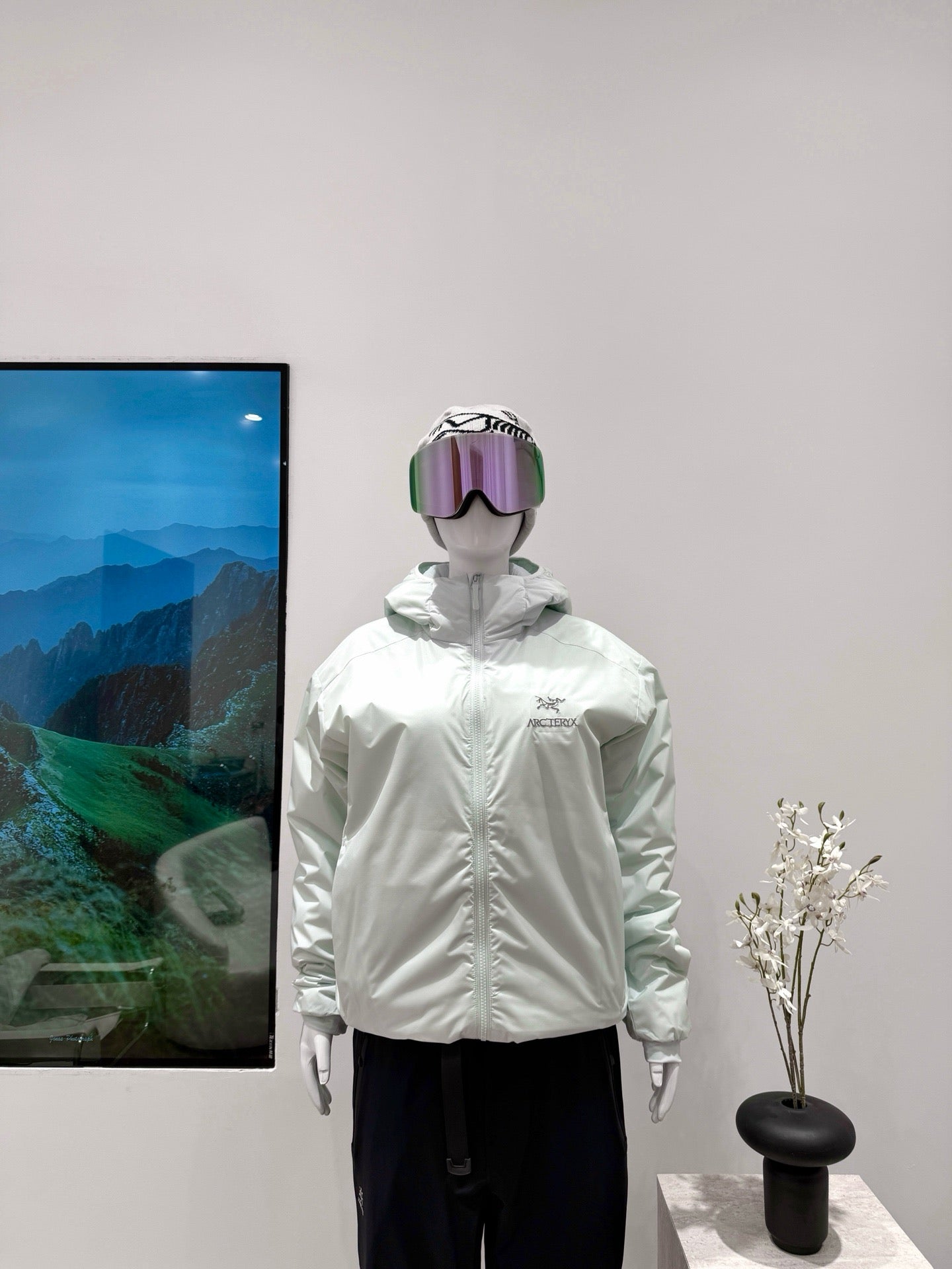 Arc'teryx Atom Hoody