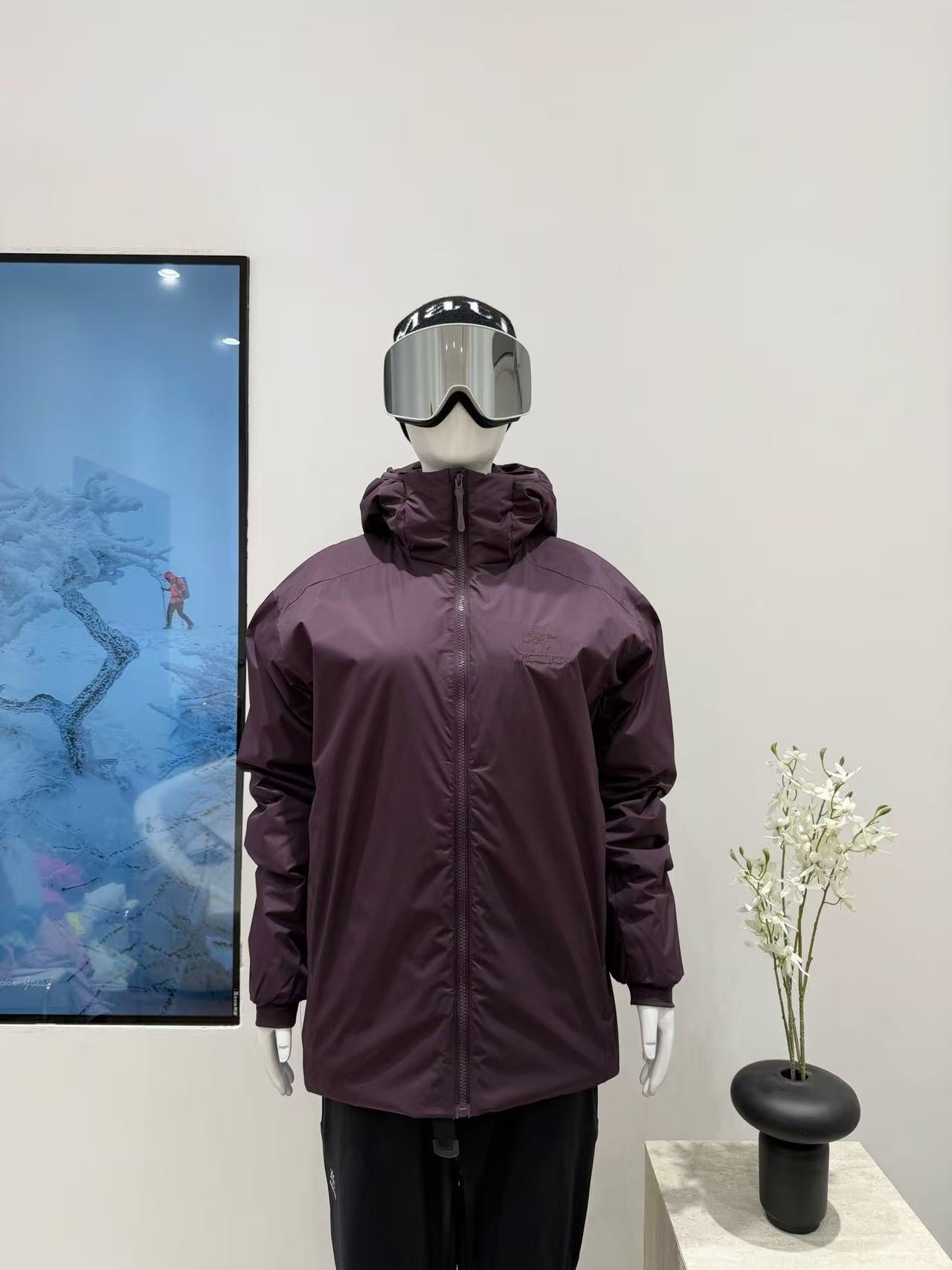 Arc'teryx Atom Hoody