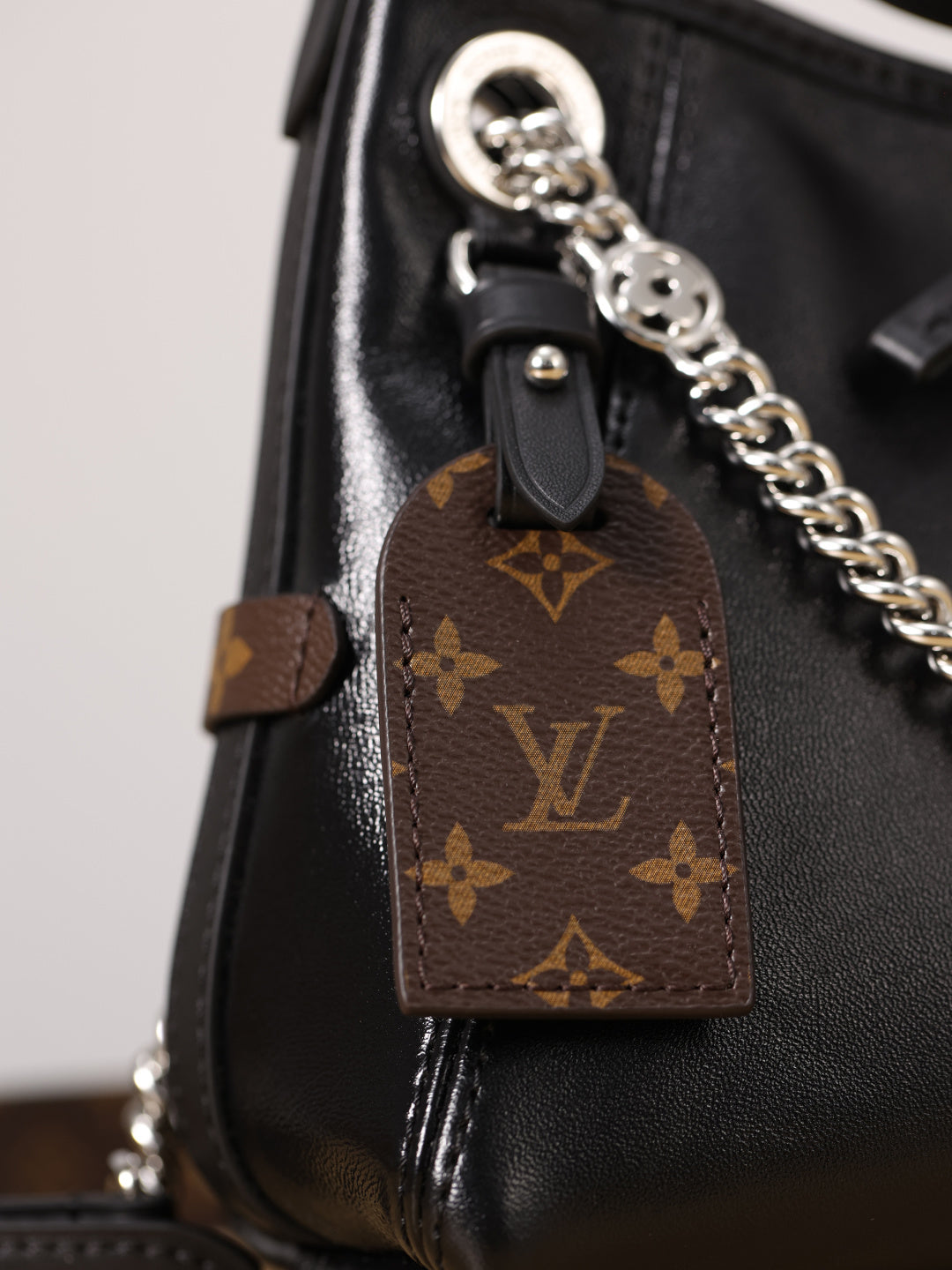 LV Carryall BB Black Knight Tote bag