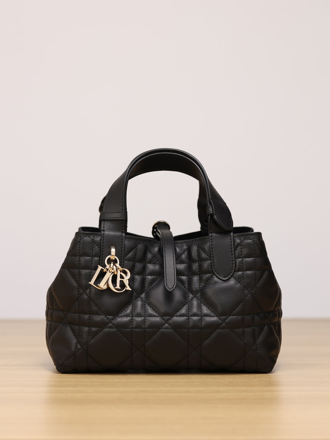 Dior Toujours Handbag(Small Size)