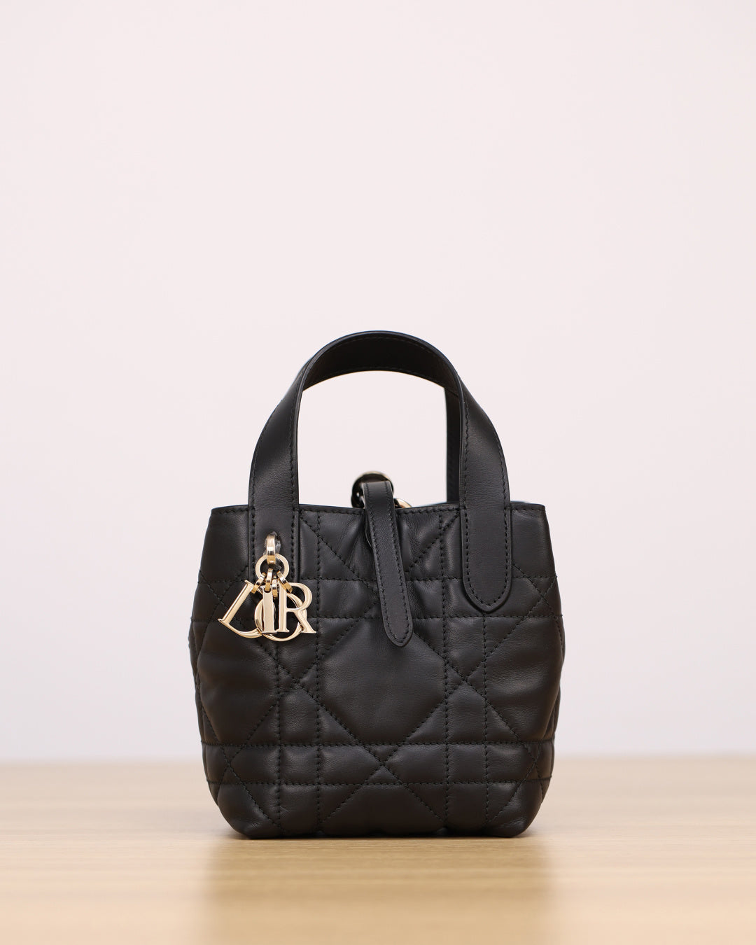 Dior Toujours Handbag(Mini)