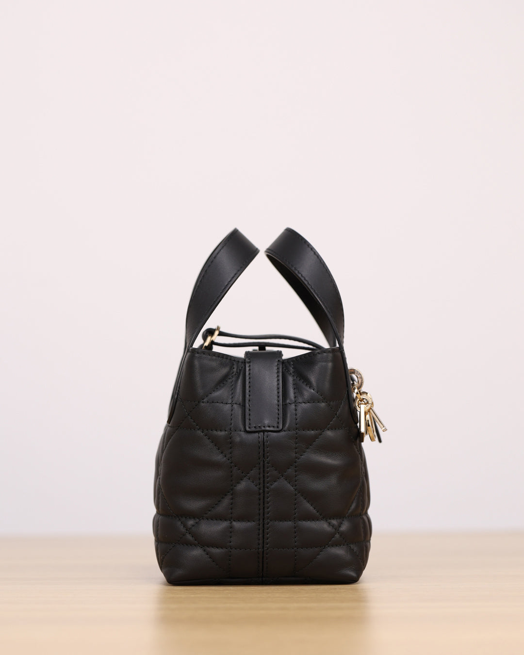 Dior Toujours Handbag(Mini)