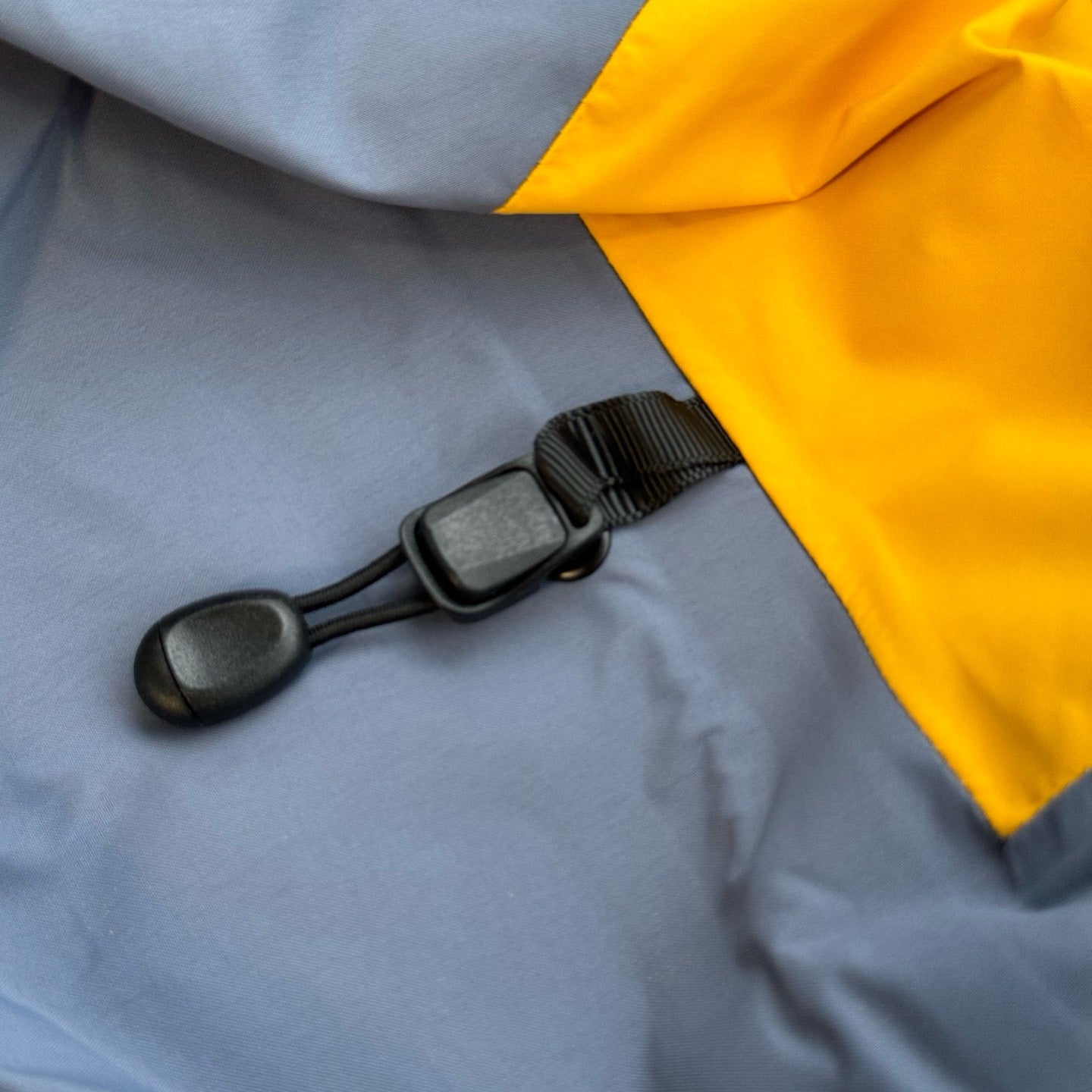 Arc'teryx “Year of the Snake” ALPHA SV GTX