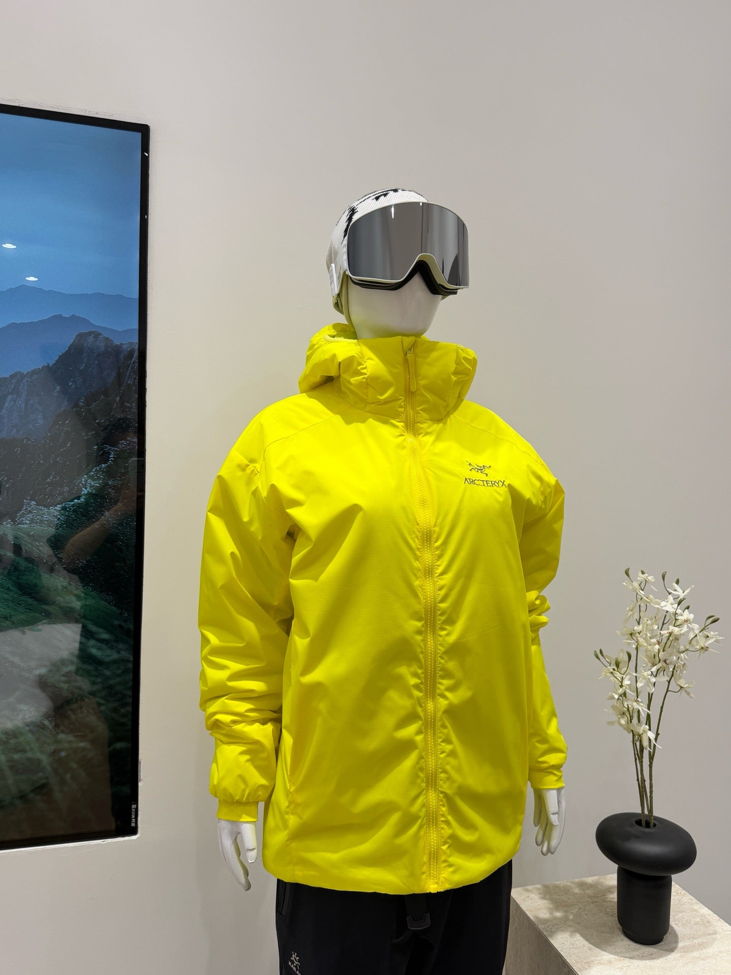 Arc'teryx Atom Hoody