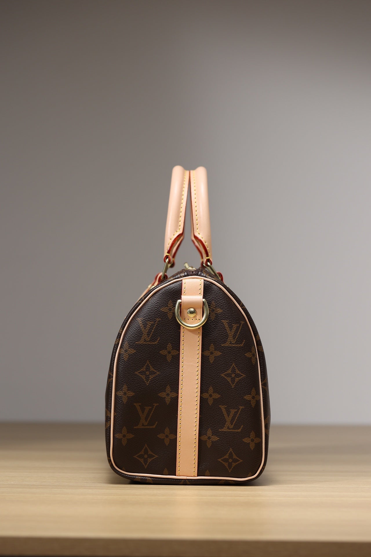 LV Speedy 25 Handbag