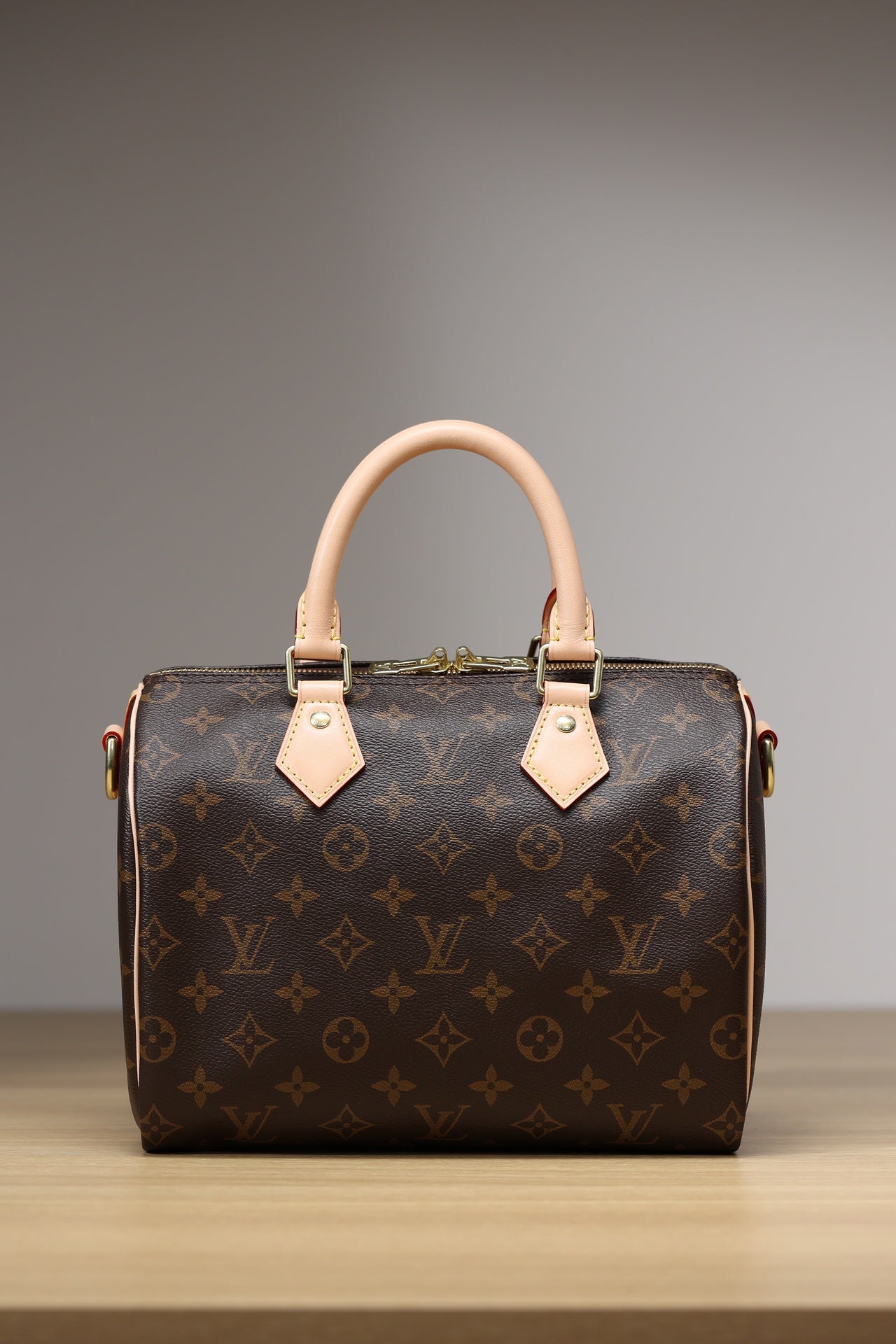 LV Speedy 25 Handbag