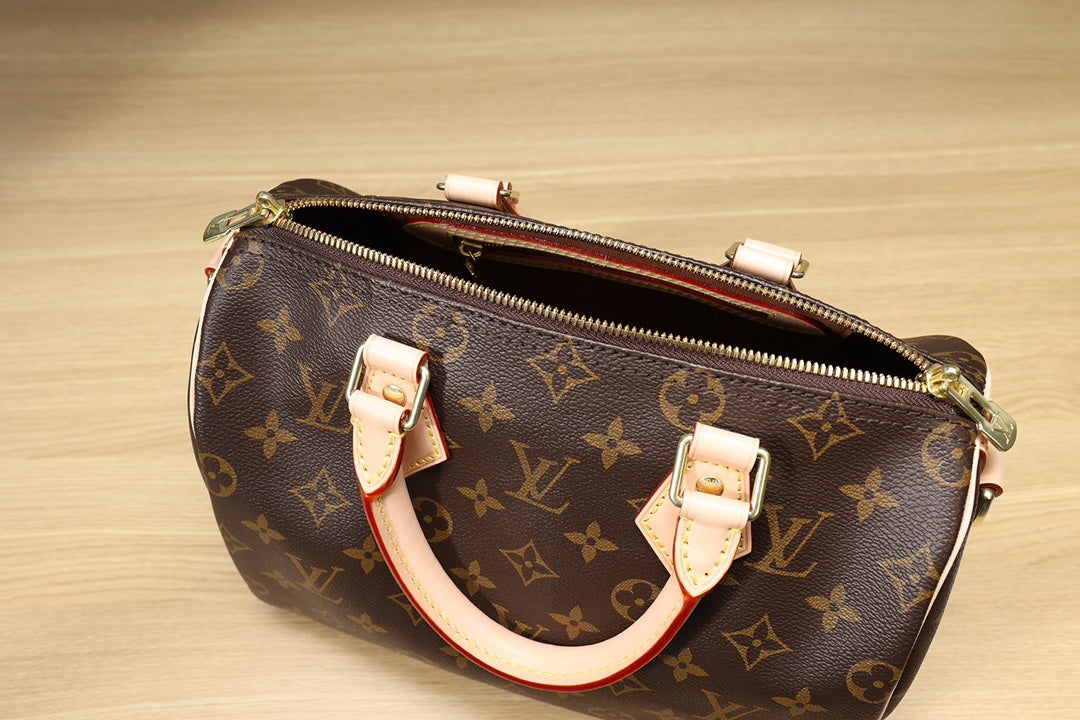 LV Speedy 25 Handbag