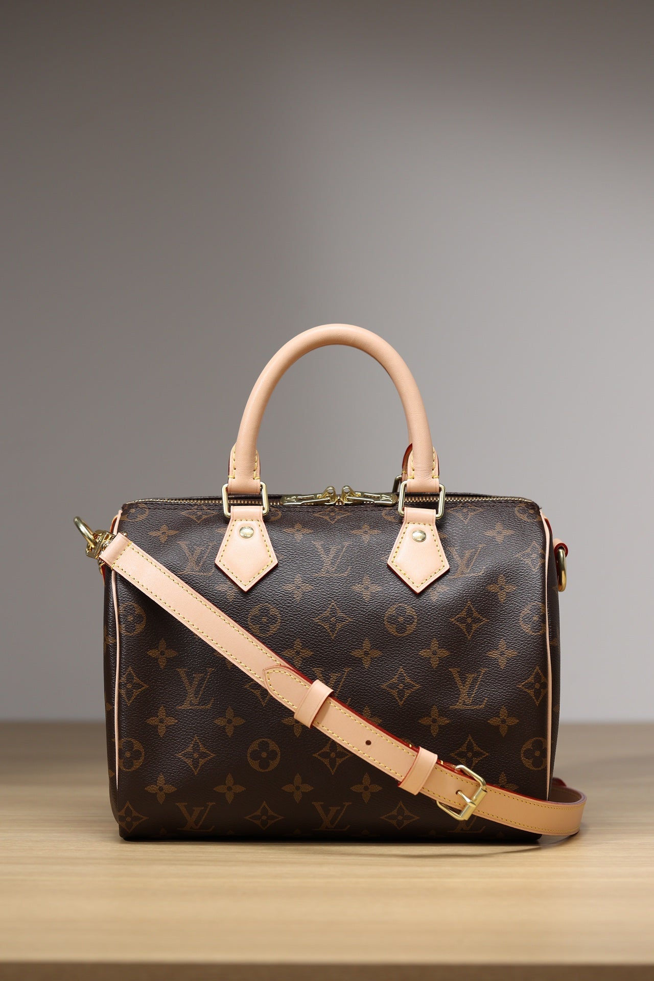 LV Speedy 25 Handbag