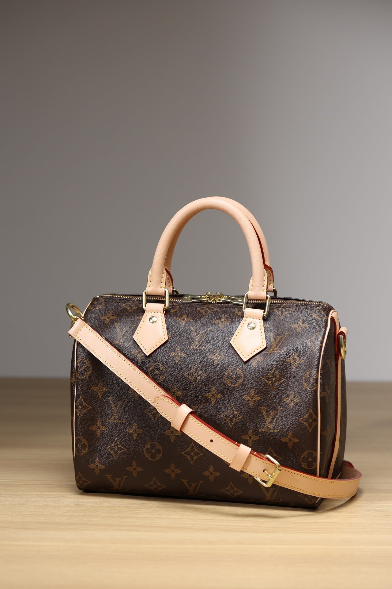 LV Speedy 25 Handbag