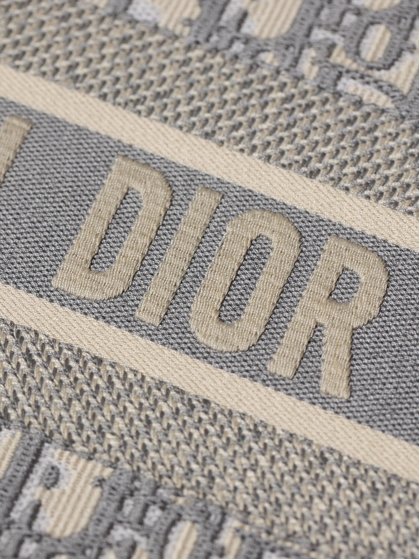 Dior BookTote Tote bag( Large Size)