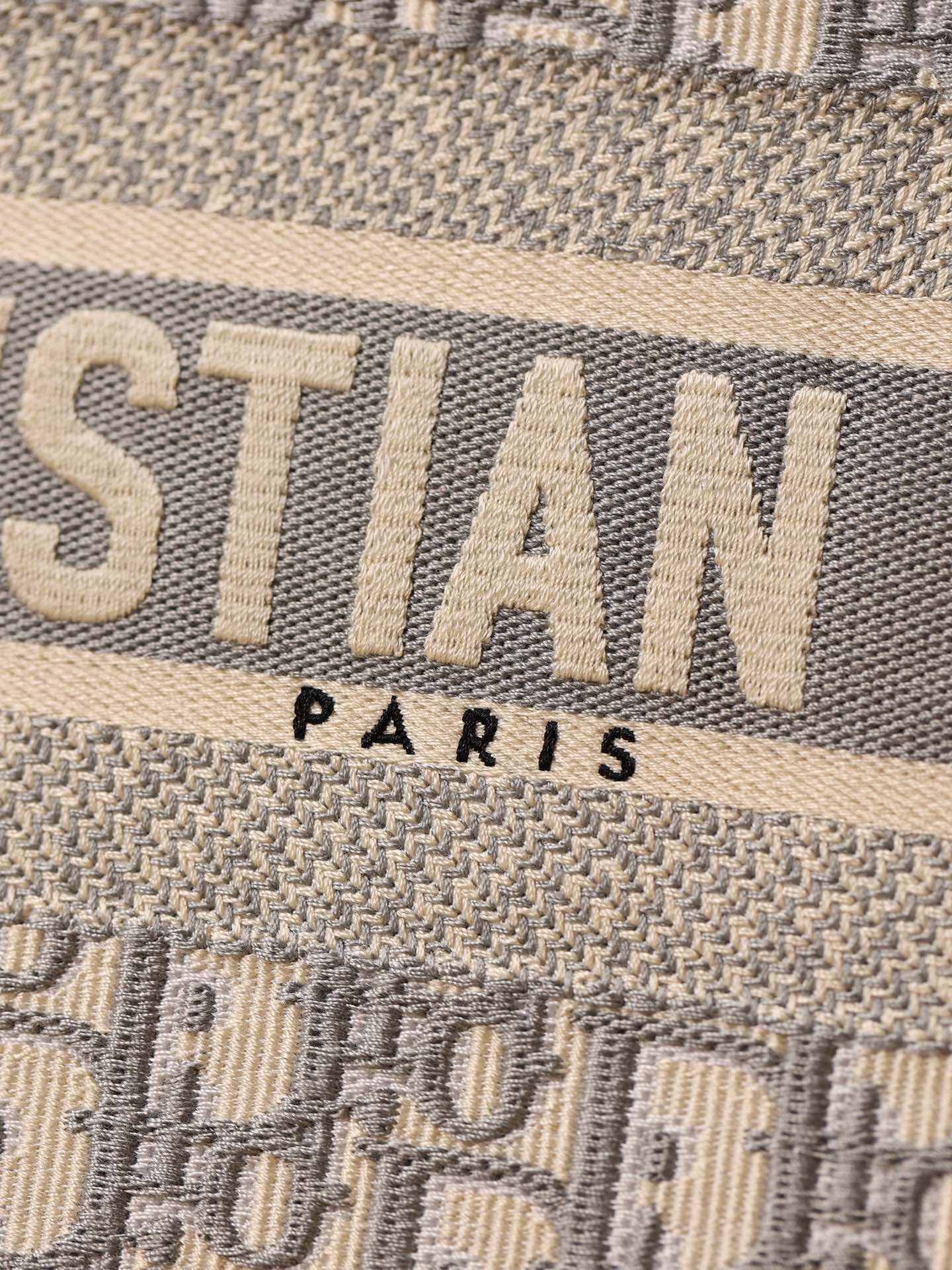 Dior BookTote Tote bag(Medium Size)