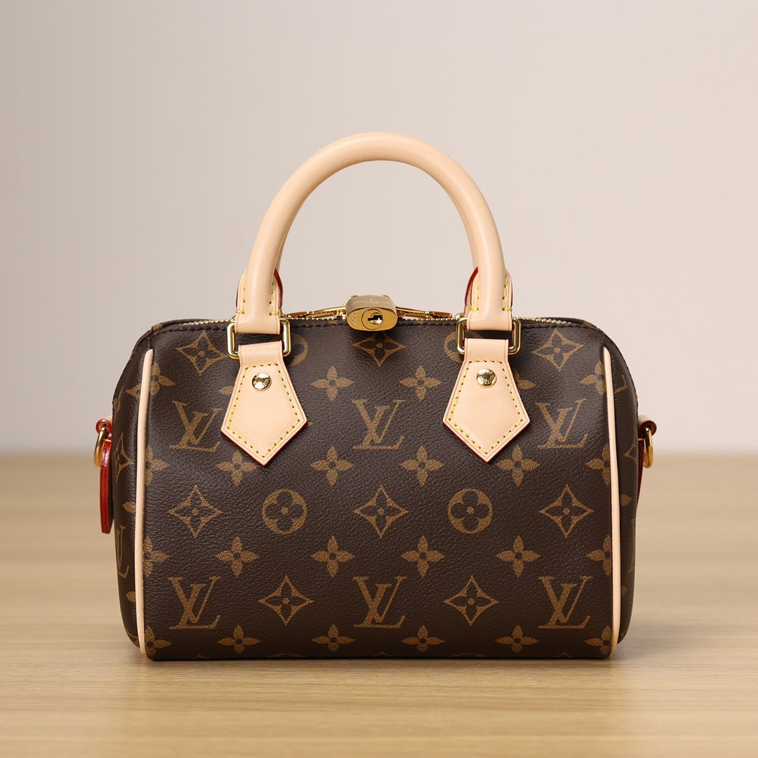 LV Speedy 20 Handbag