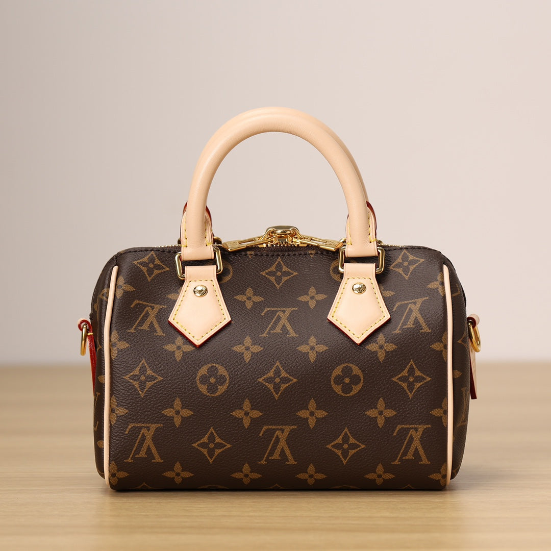 LV Speedy 20 Handbag