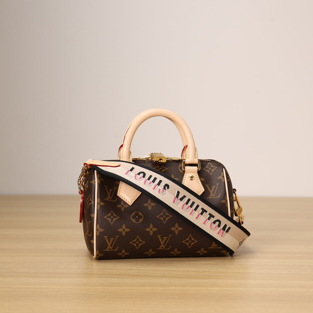 LV Speedy 20 Handbag