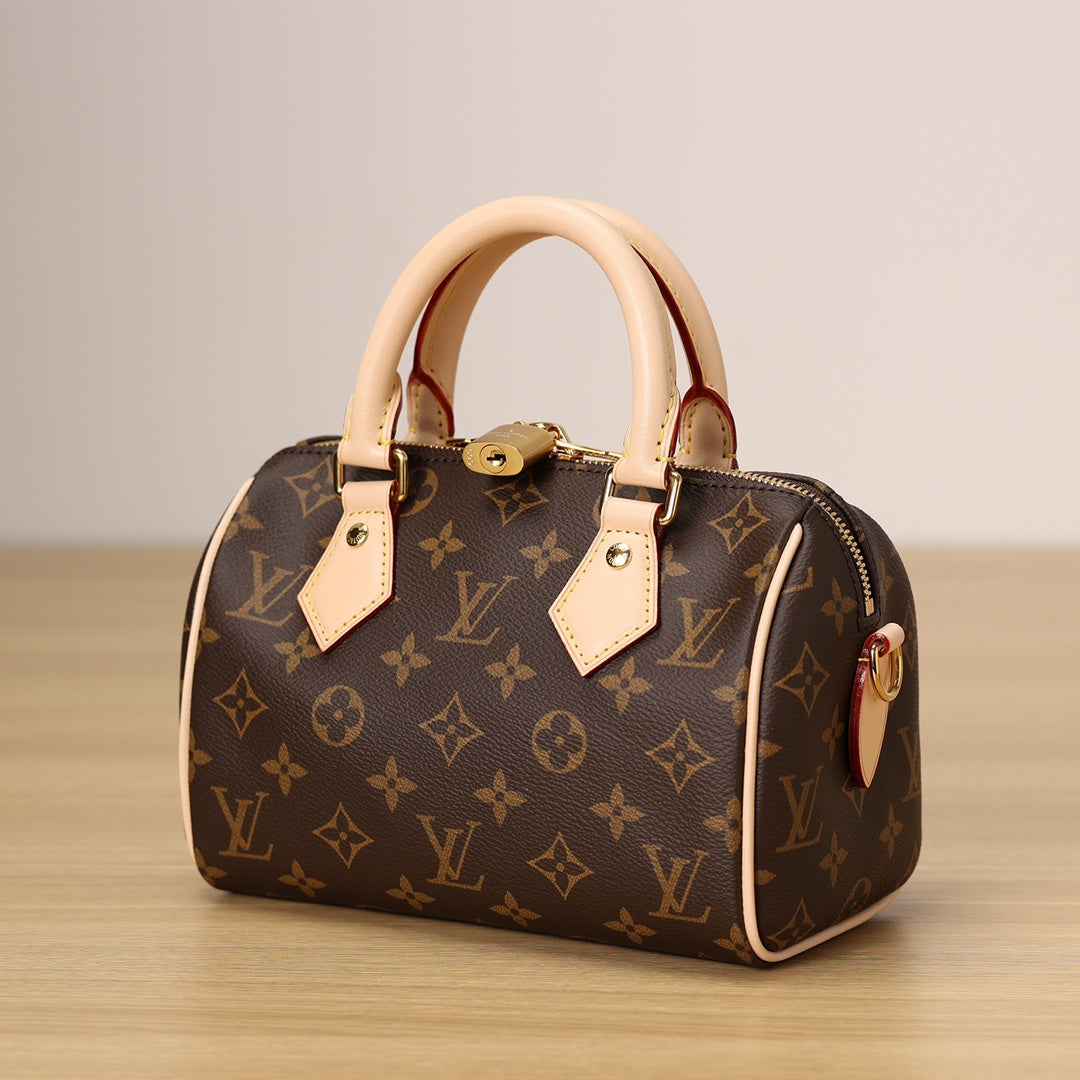 LV Speedy 20 Handbag