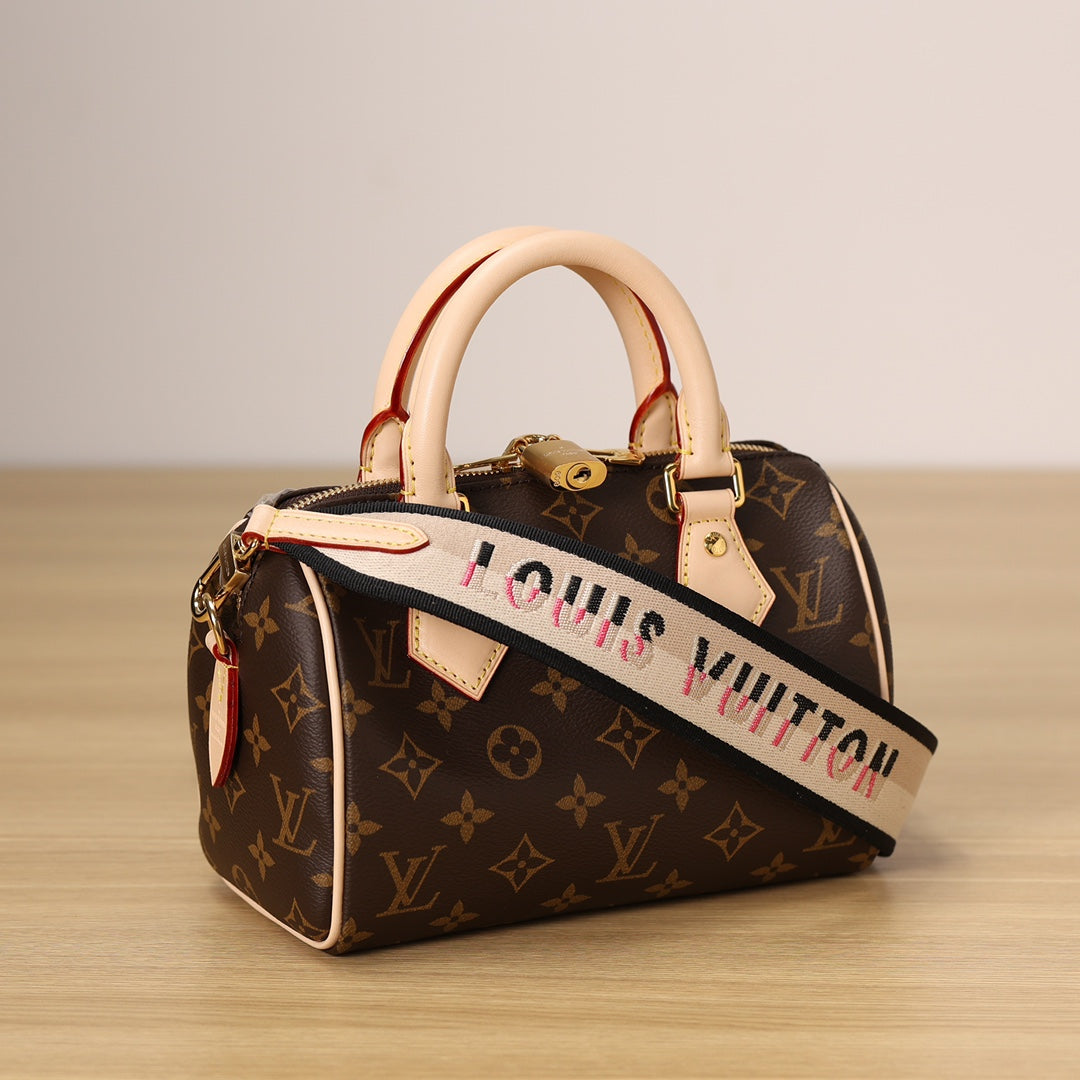 LV Speedy 20 Handbag