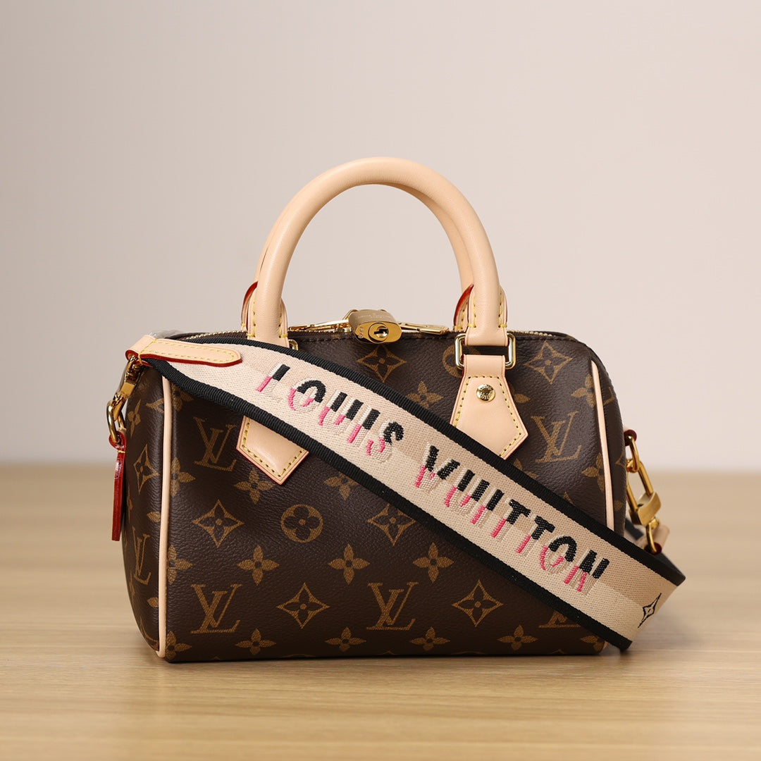 LV Speedy 20 Handbag