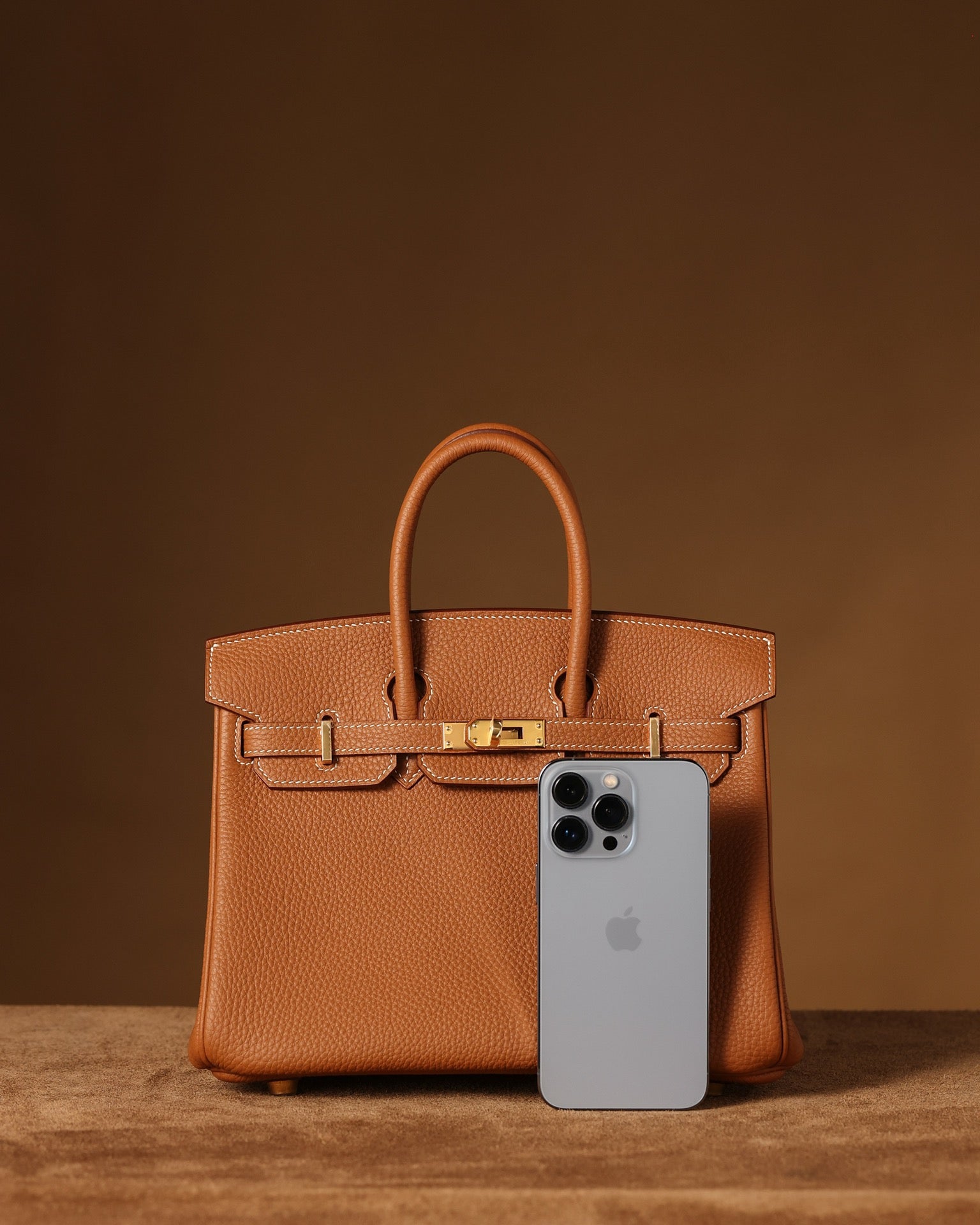 Hermès Birkin 25 Handbag