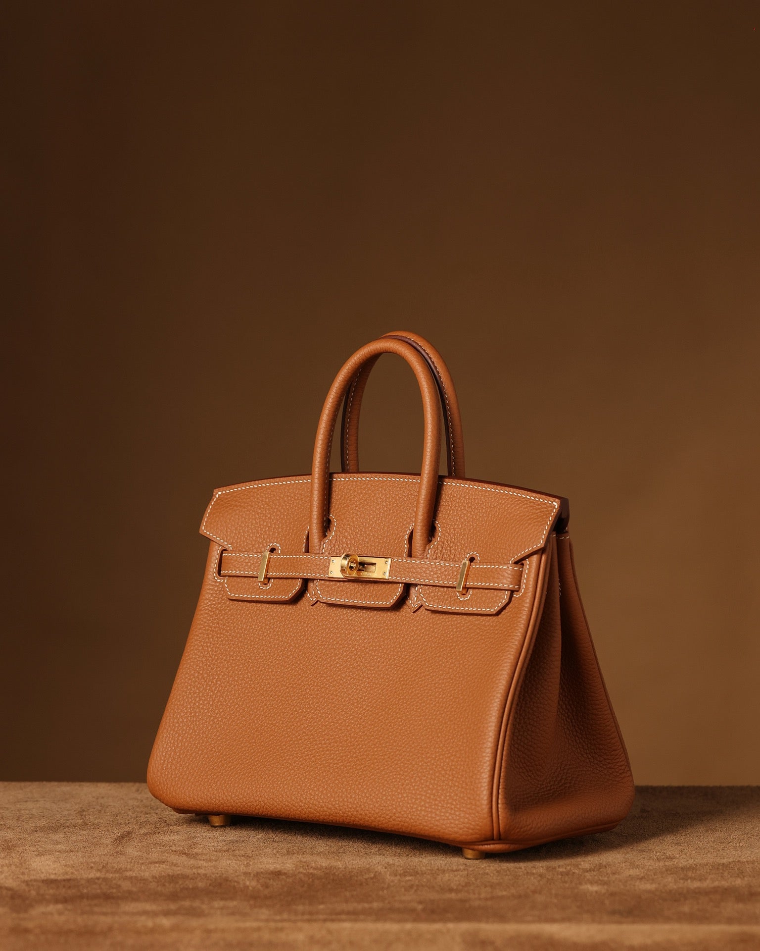 Hermès Birkin 25 Handbag