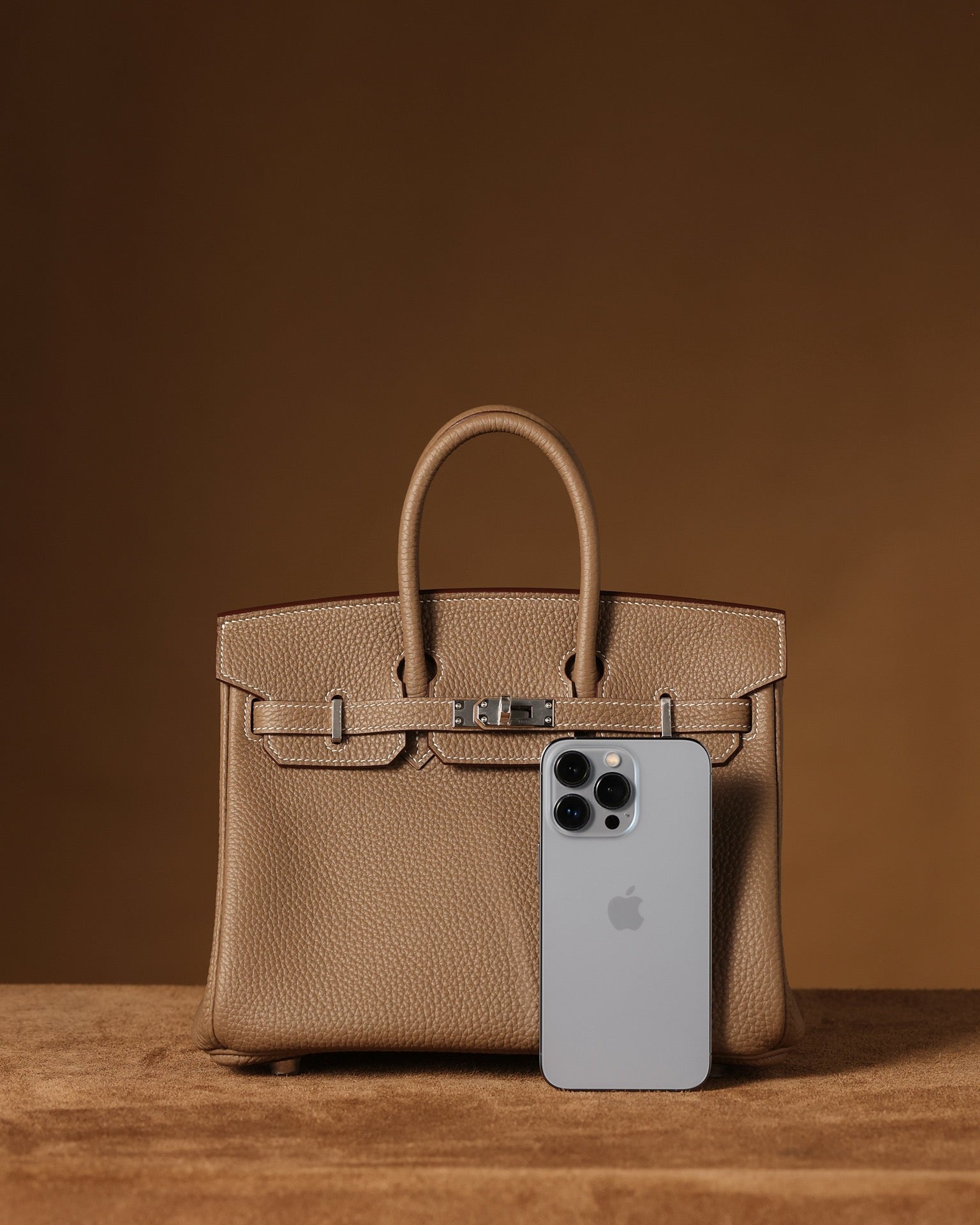 Hermès Birkin 25 Handbag