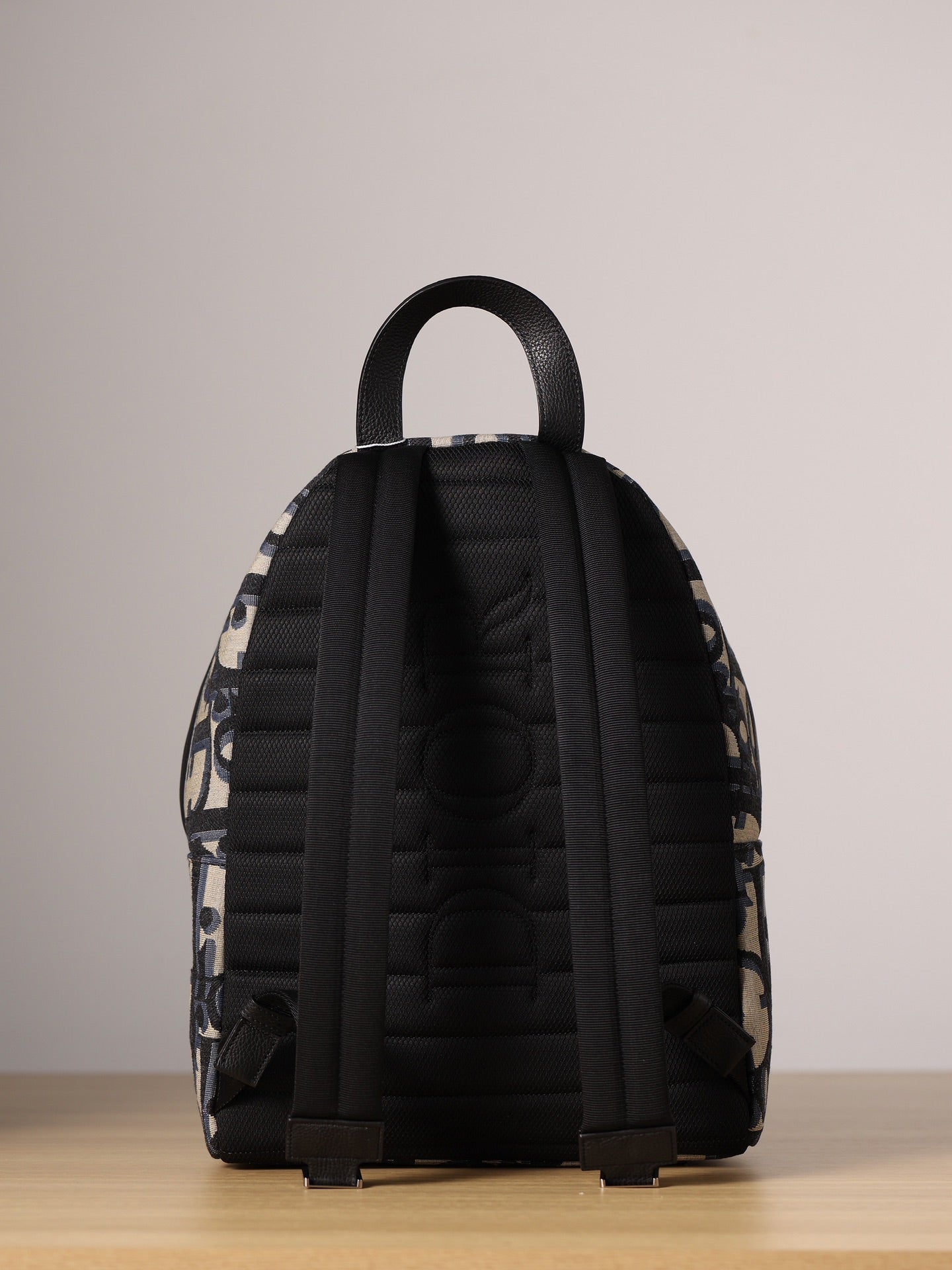 Dior Rider Backpack