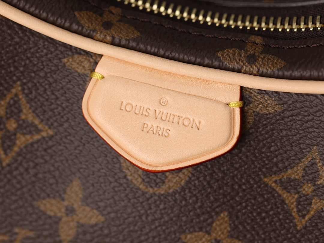 LV CROISSANT Shoulder bag