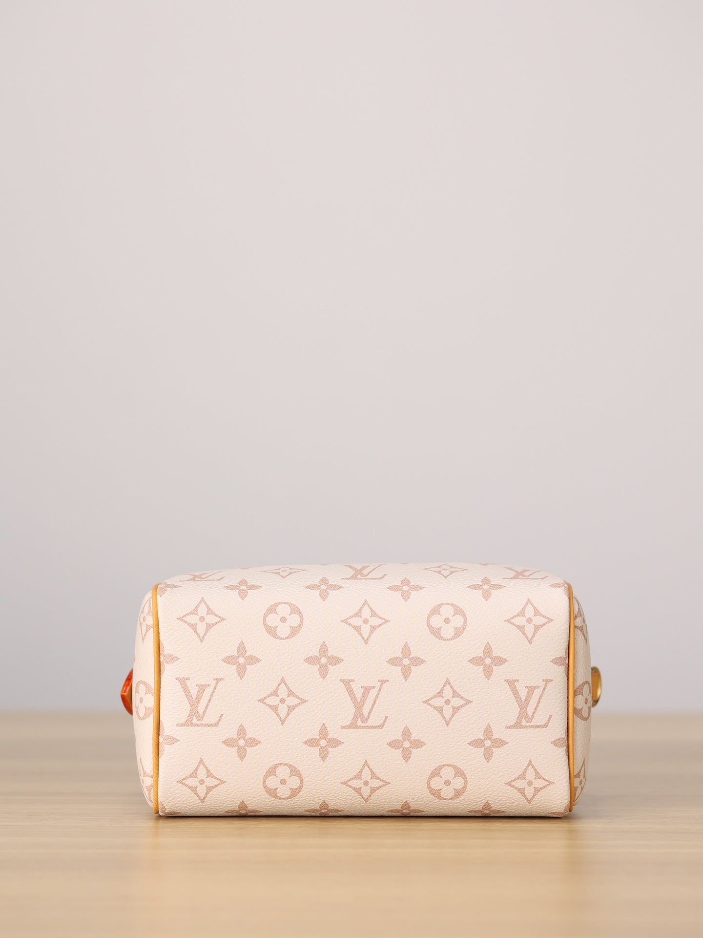 LV Speedy 20 Handbag