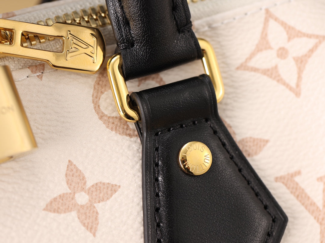 LV Speedy 20 Handbag
