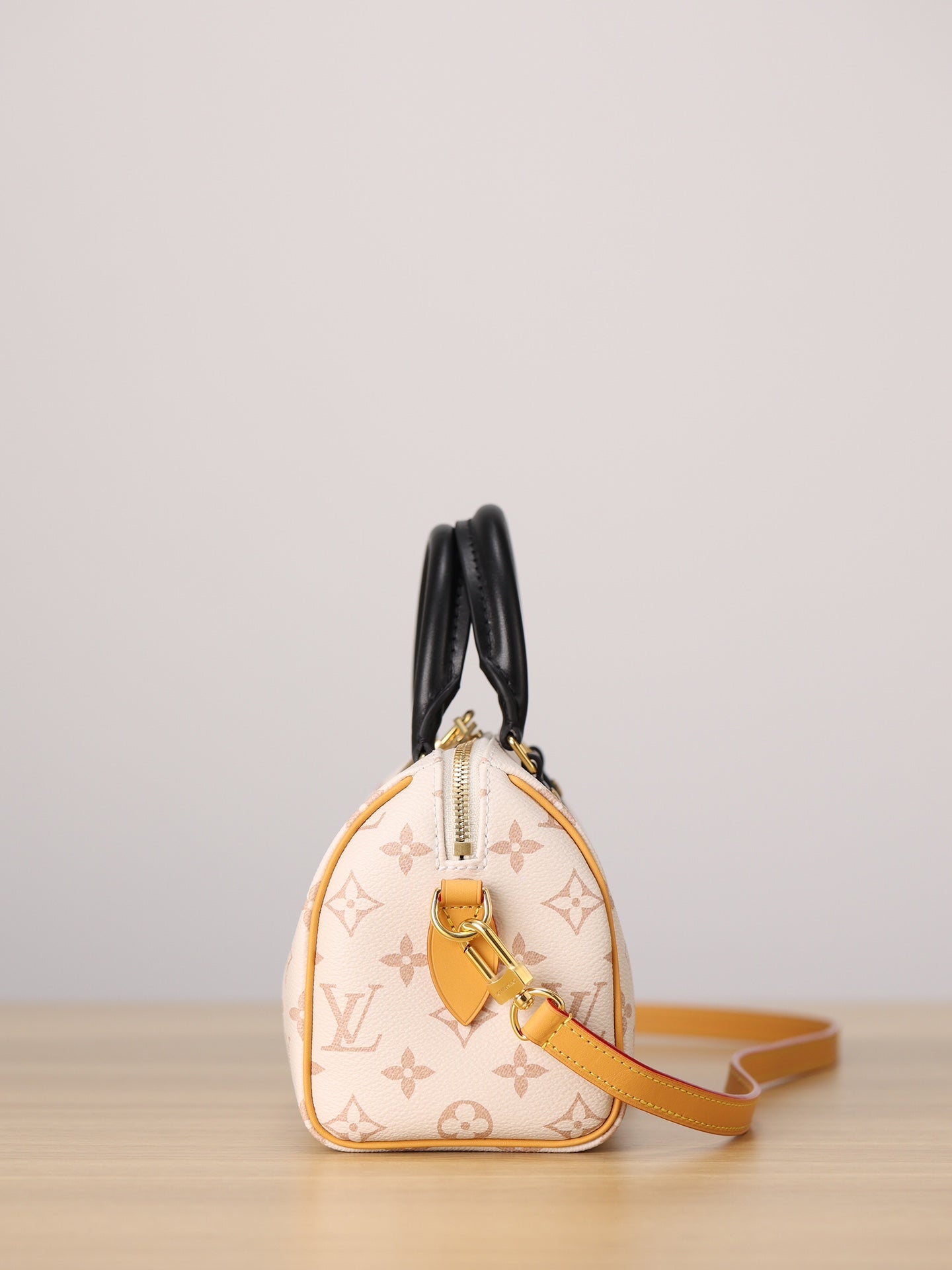 LV Speedy 20 Handbag
