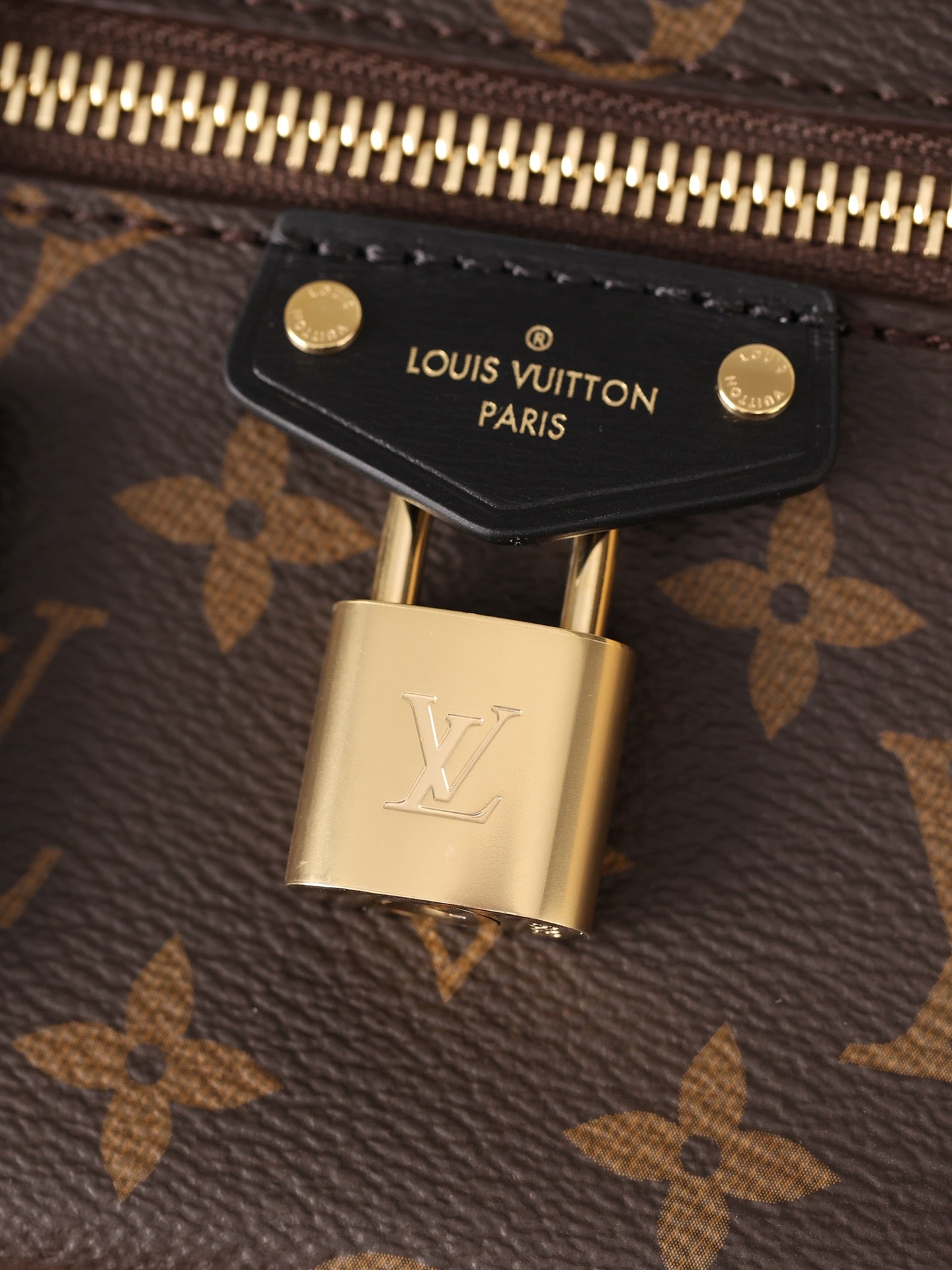 LV Vanity CHAIN POUCH Cosmetic bag