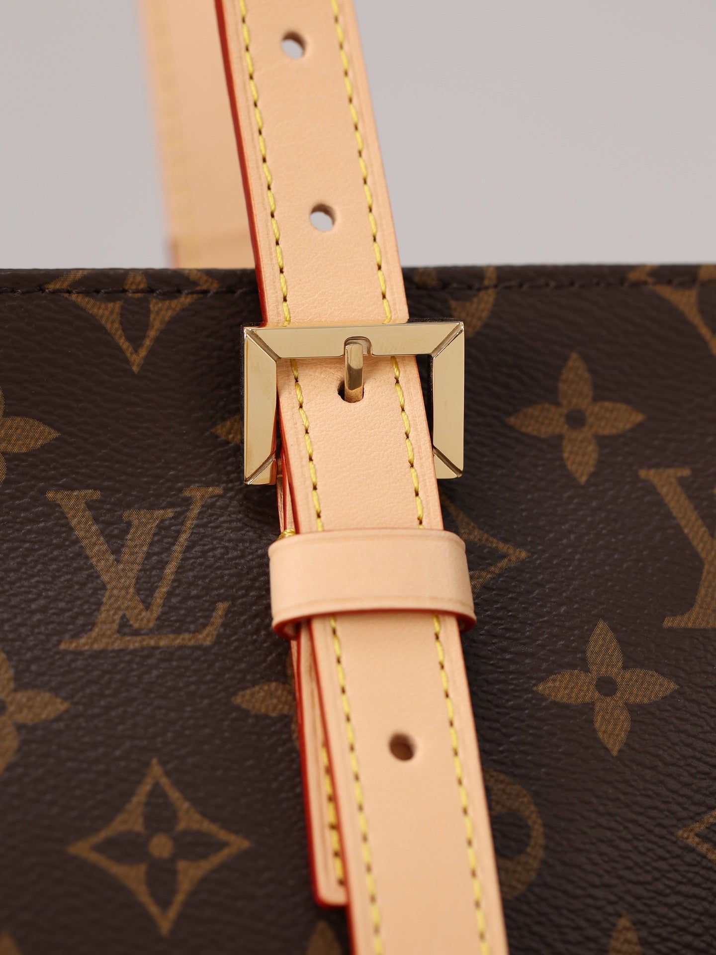 LV Sac Piano Handbag