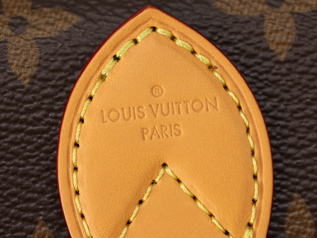 LV Nano Diane Handbag