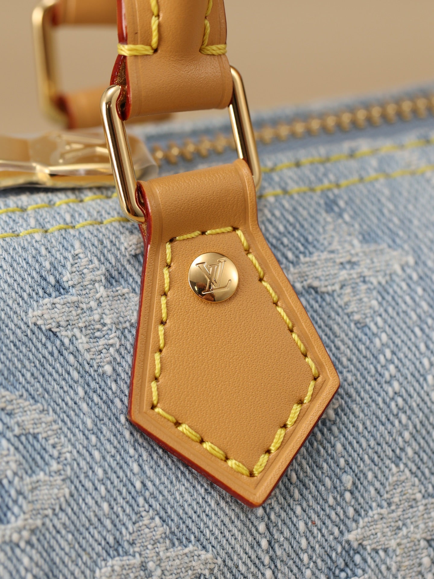 LV NANO SPEEDY Handbag