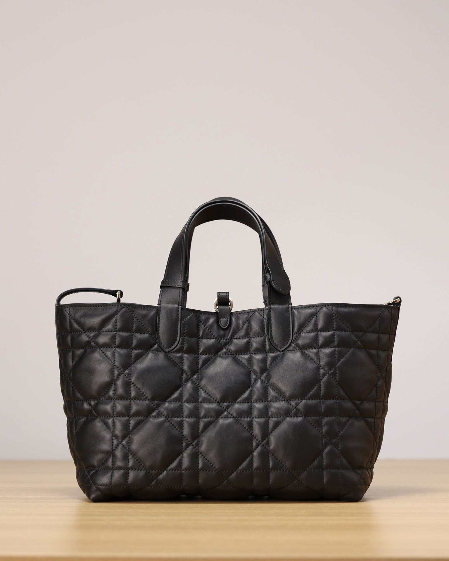 Dior Toujours Handbag(Medium Size)