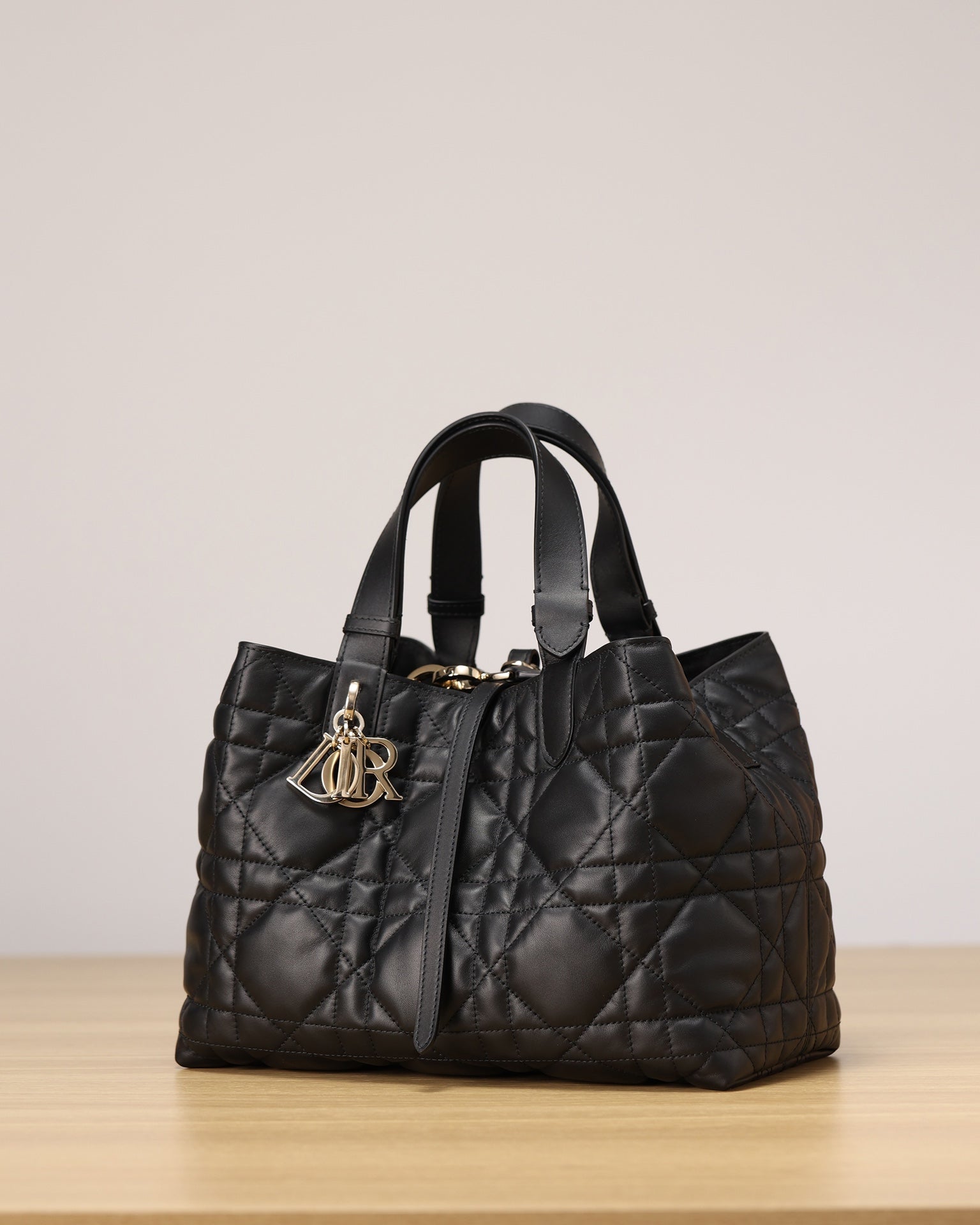 Dior Toujours Handbag(Medium Size)