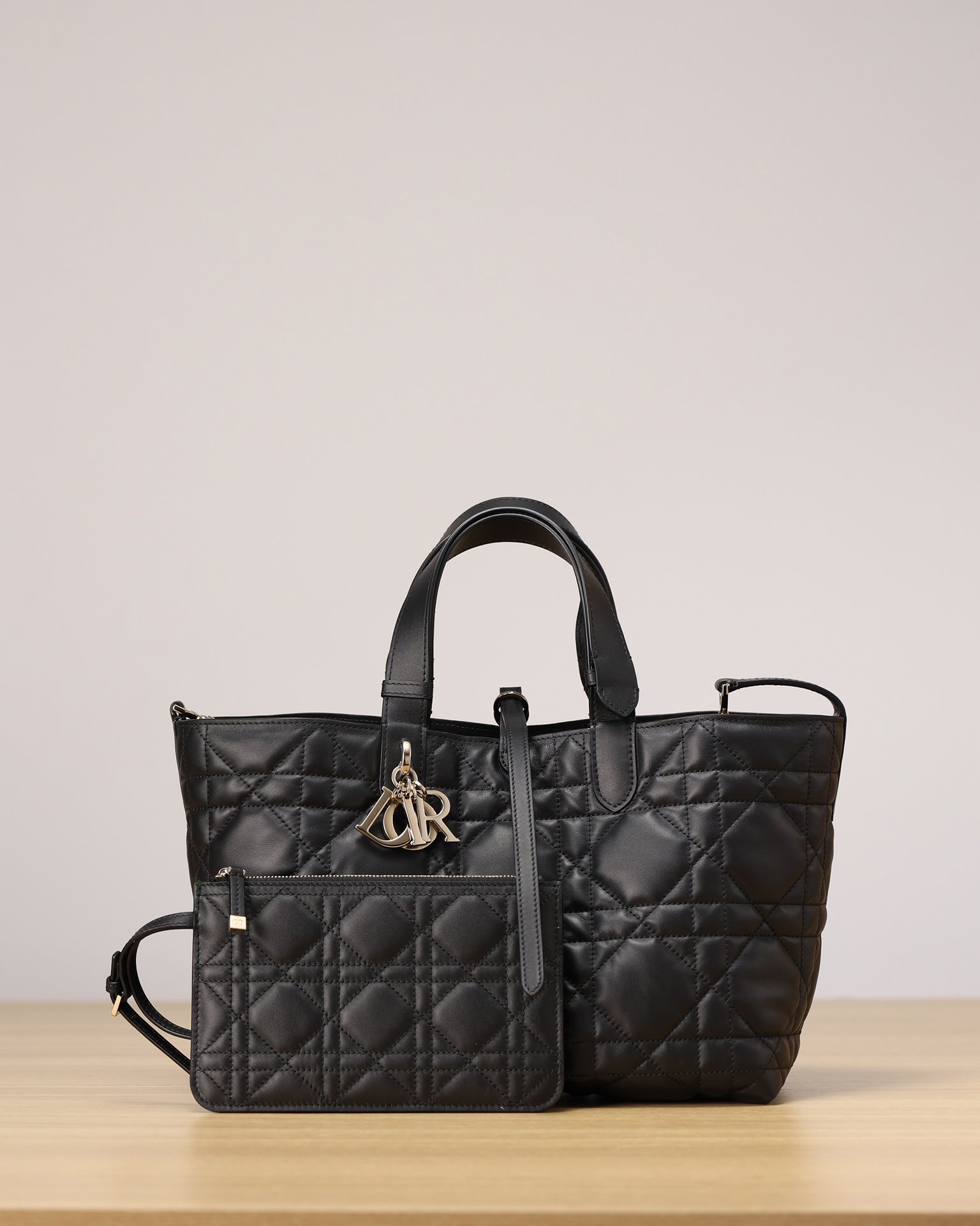 Dior Toujours Handbag(Medium Size)