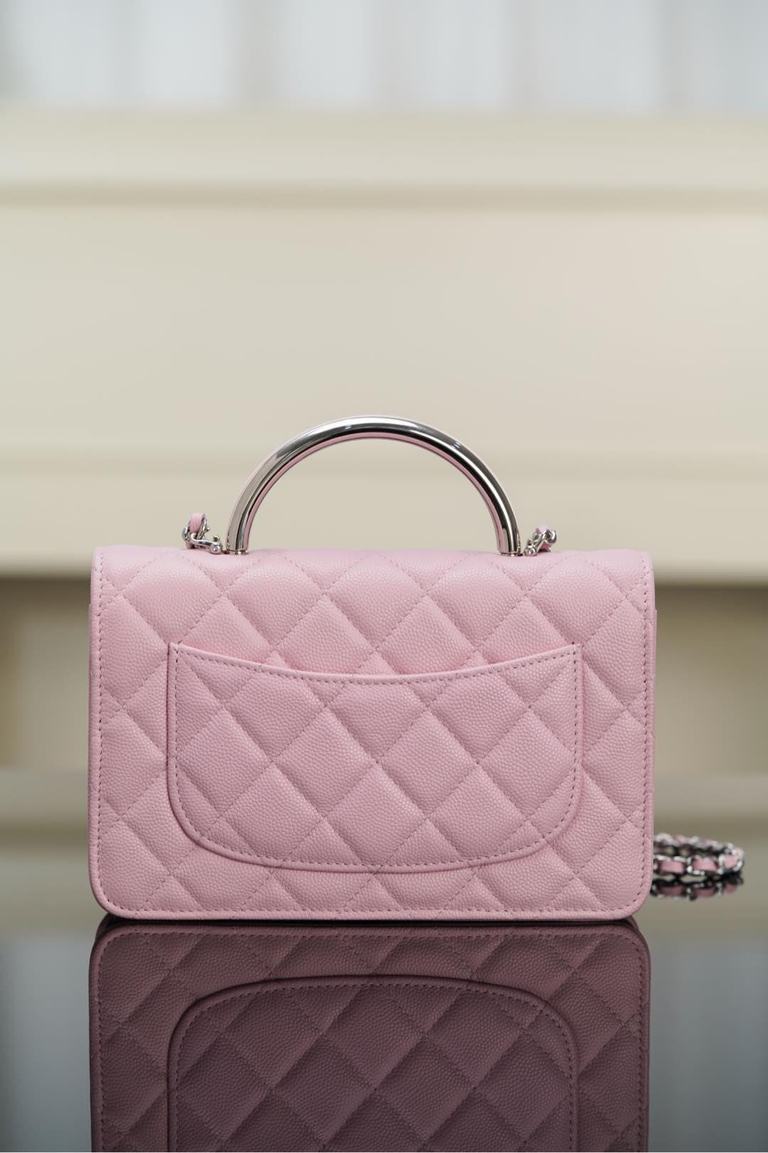Chanel 25P Handbag