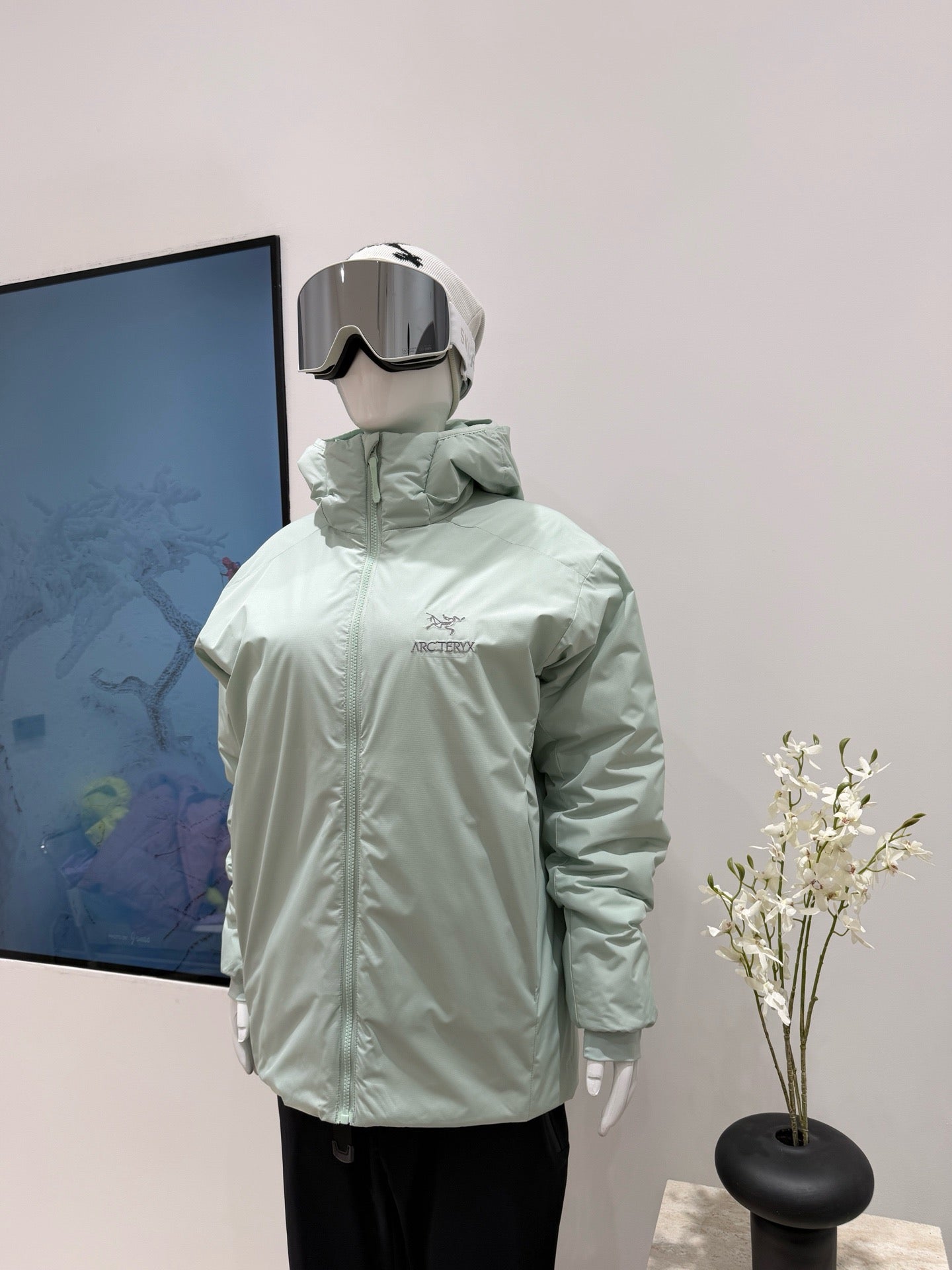 Arc'teryx Atom Hoody