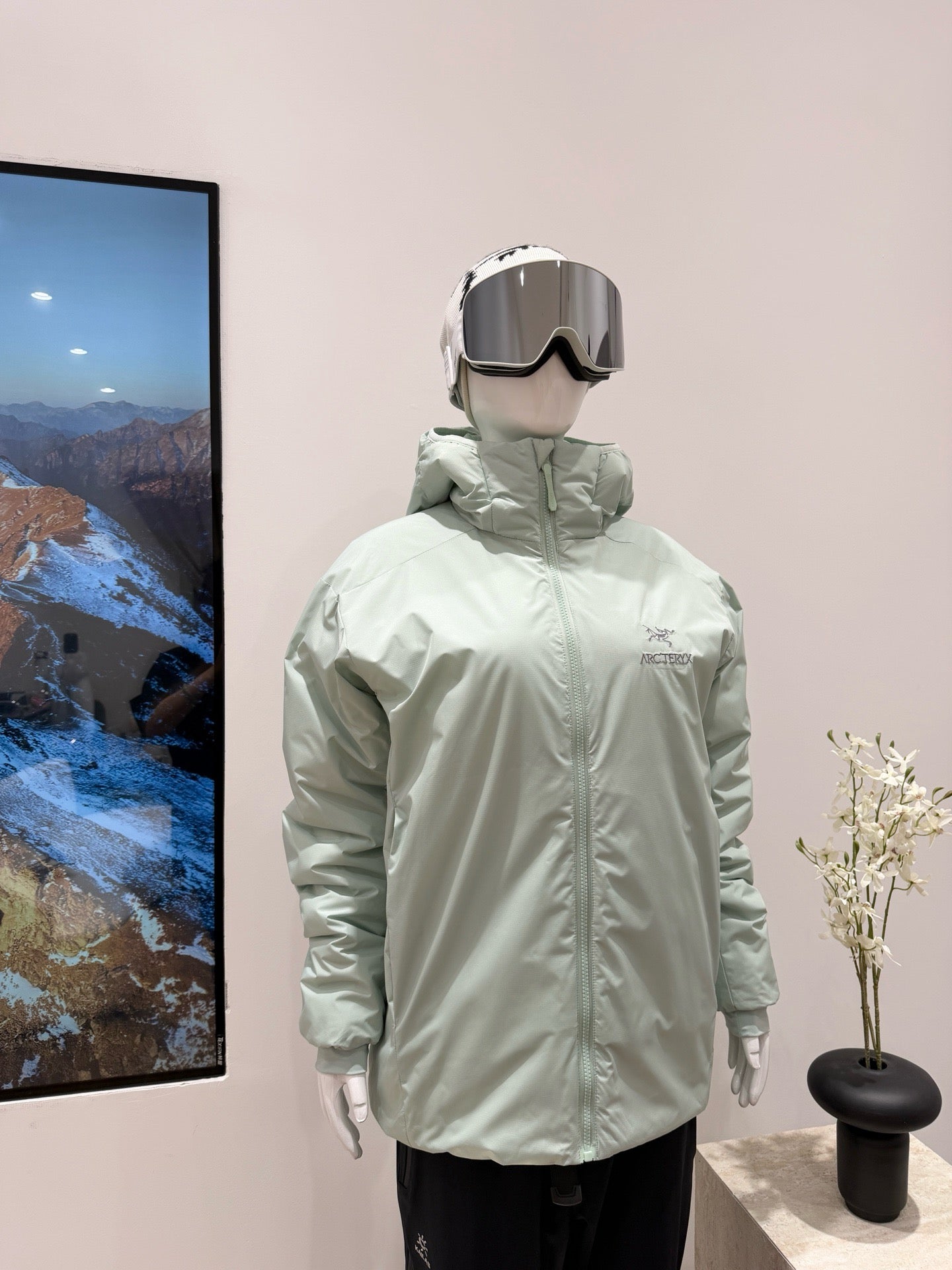 Arc'teryx Atom Hoody