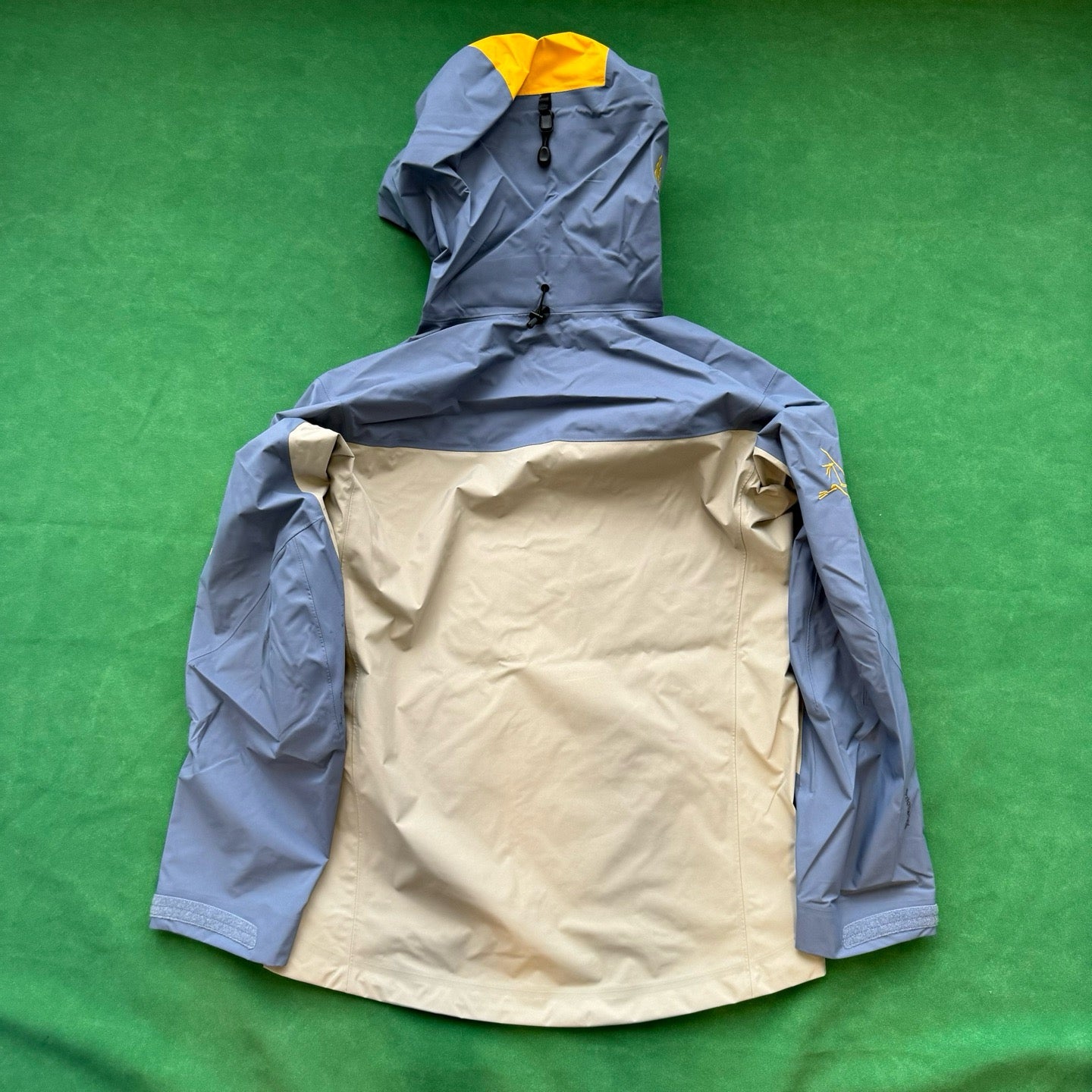 Arc'teryx “Year of the Snake” ALPHA SV GTX