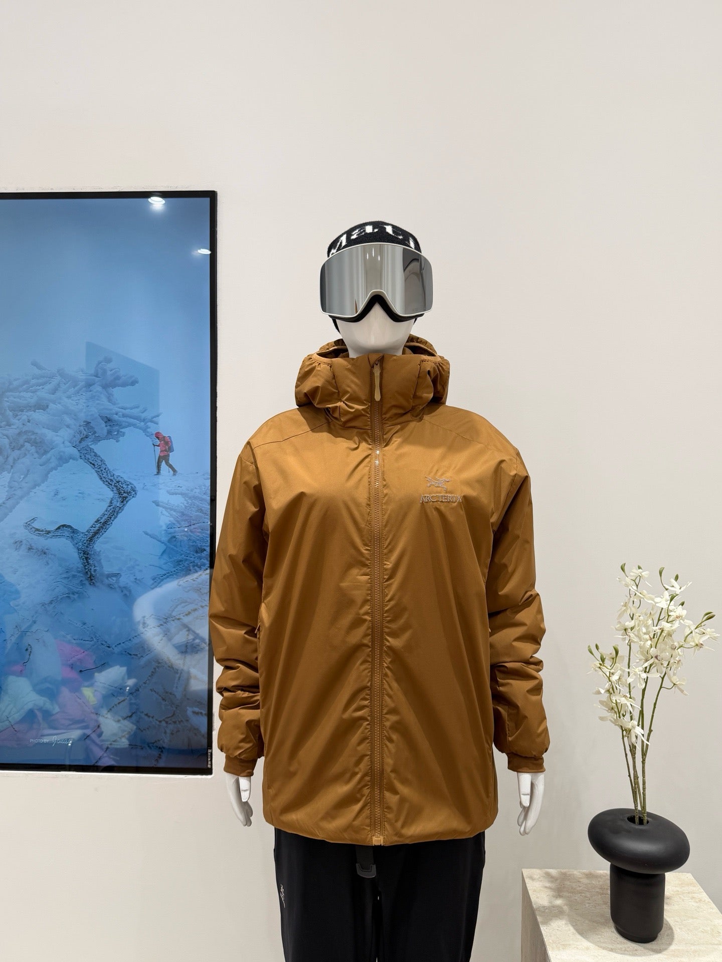 Arc'teryx Atom Hoody